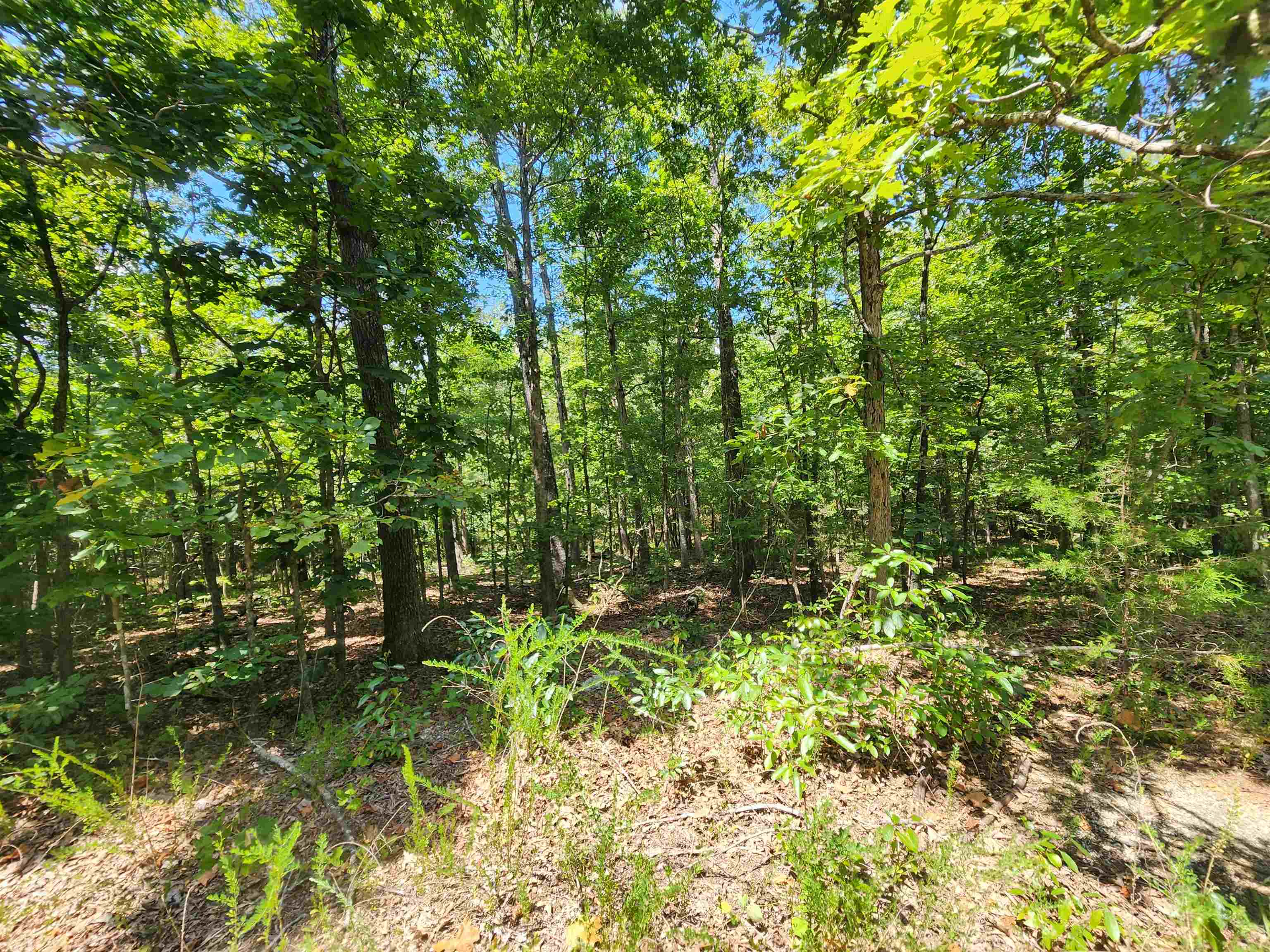 L-13, B-6 Calumet Drive Property Photo 14