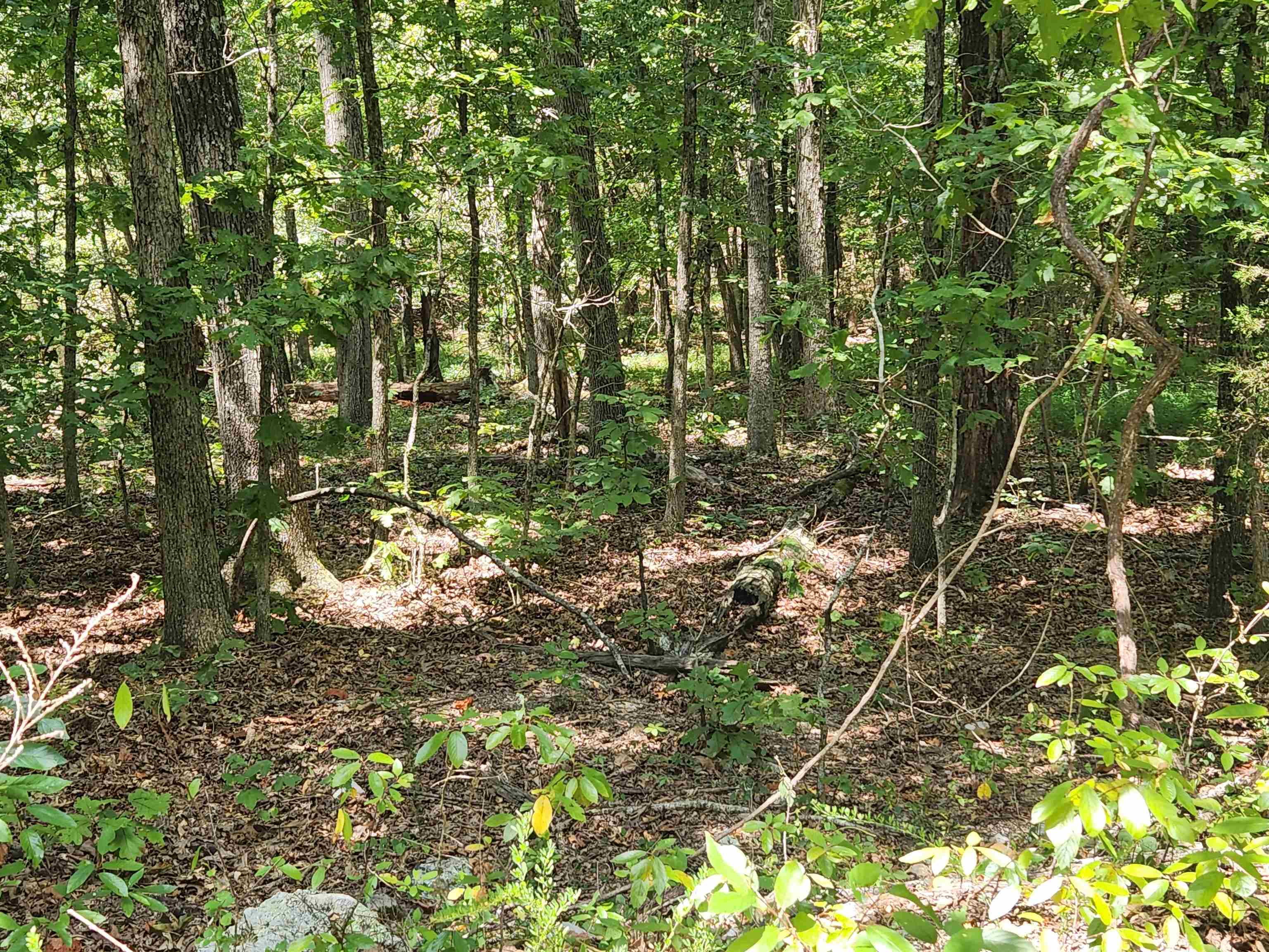 L-13, B-6 Calumet Drive Property Photo 16