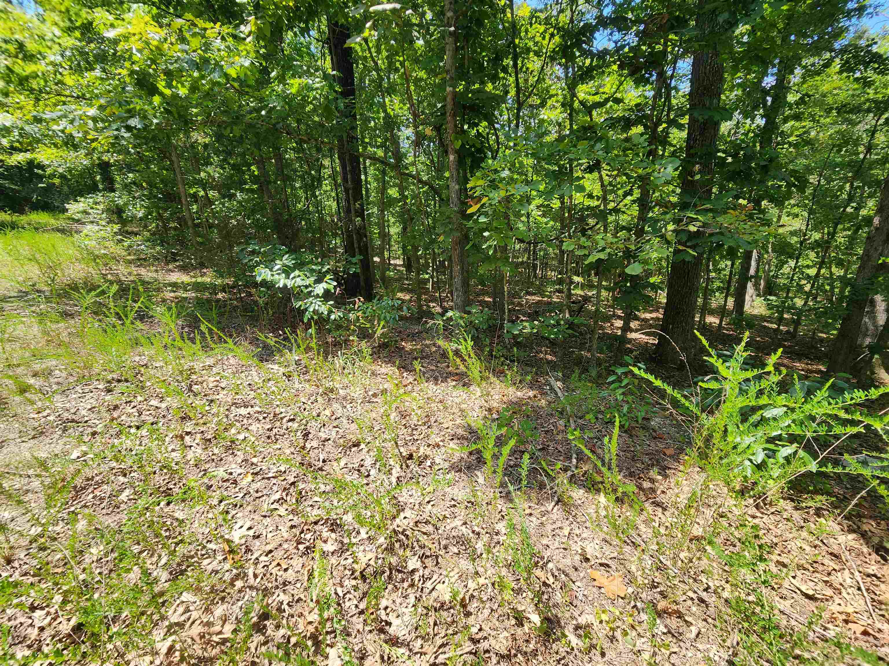 L-13, B-6 Calumet Drive Property Photo 17
