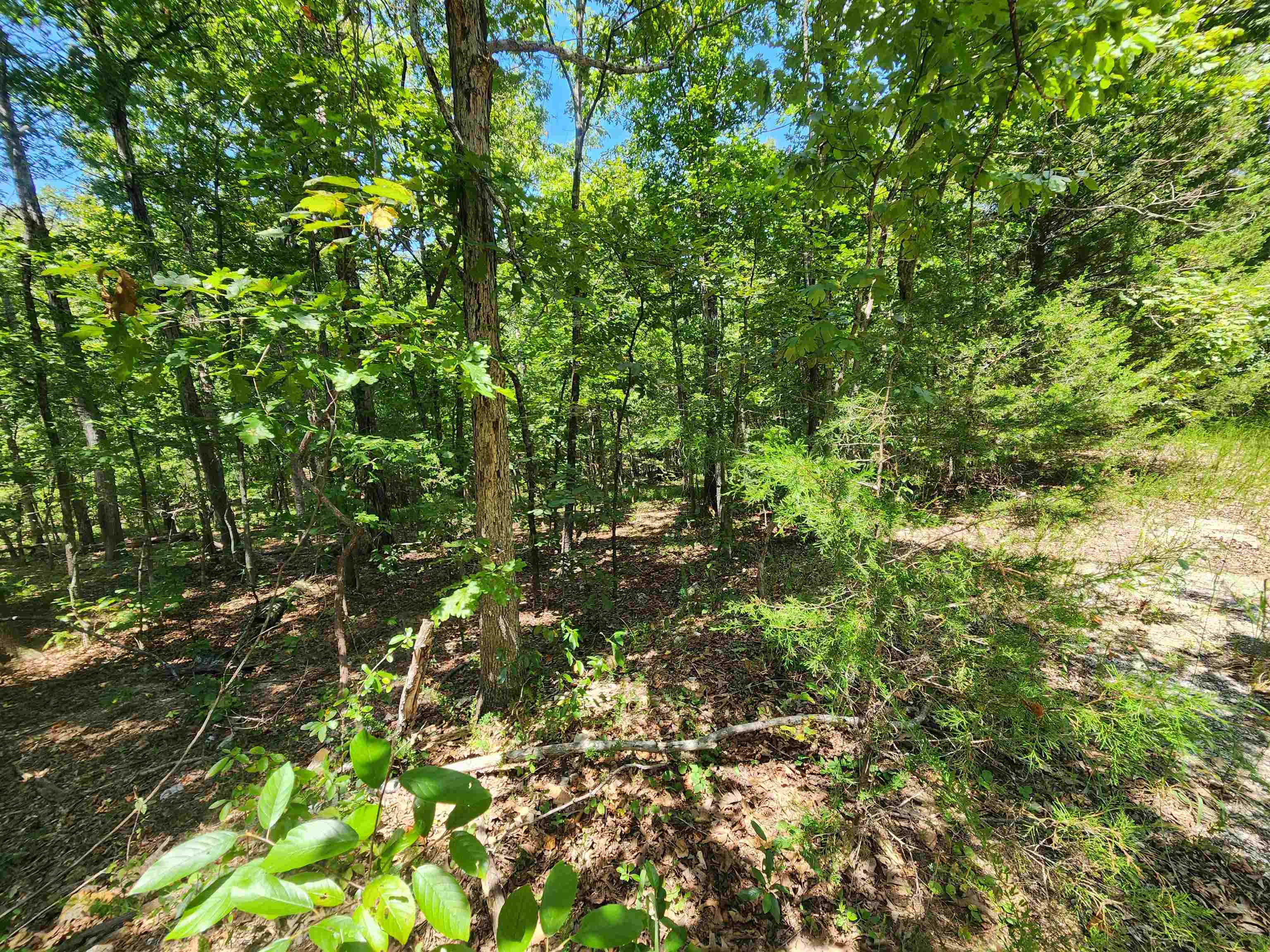 L-13, B-6 Calumet Drive Property Photo 19
