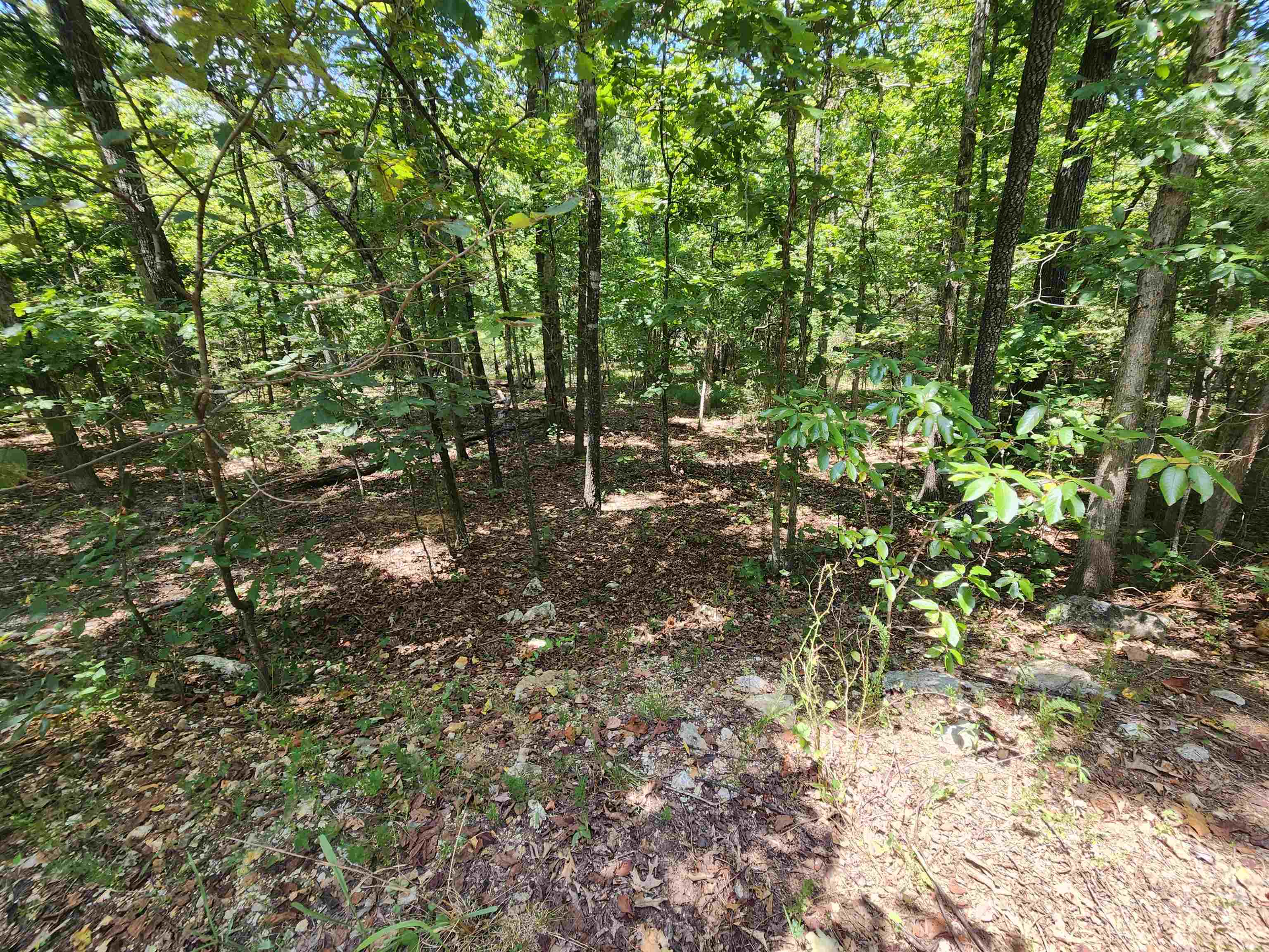 L-13, B-6 Calumet Drive Property Photo 20