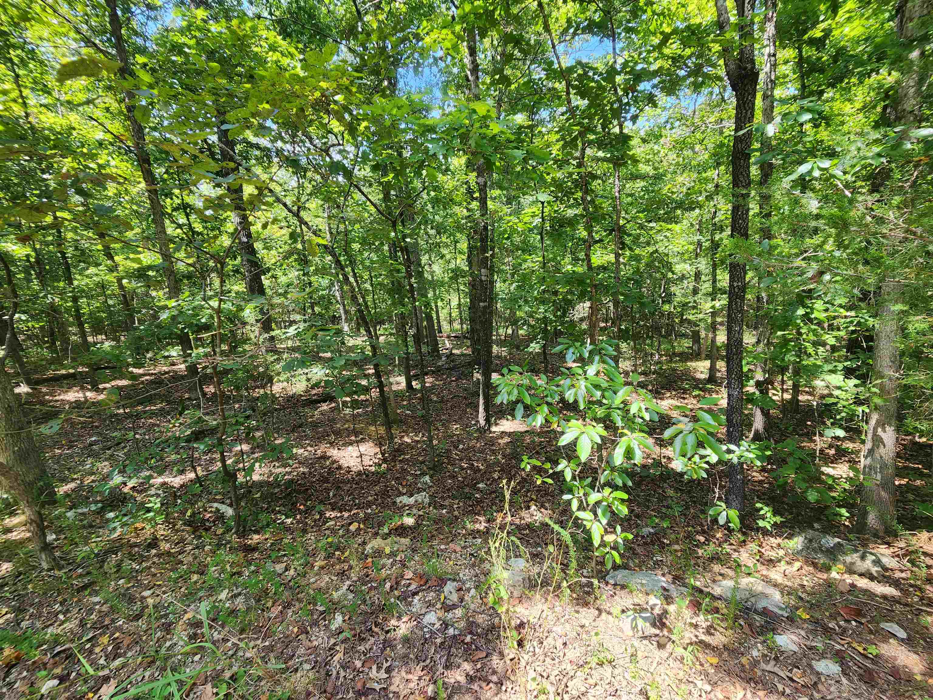 L-13, B-6 Calumet Drive Property Photo 21