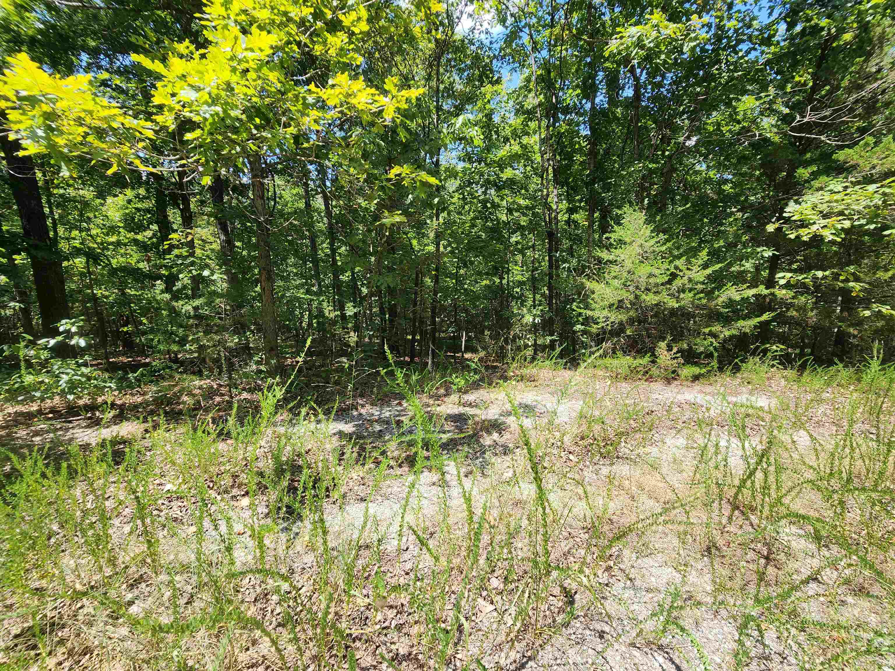 L-13, B-6 Calumet Drive Property Photo 22