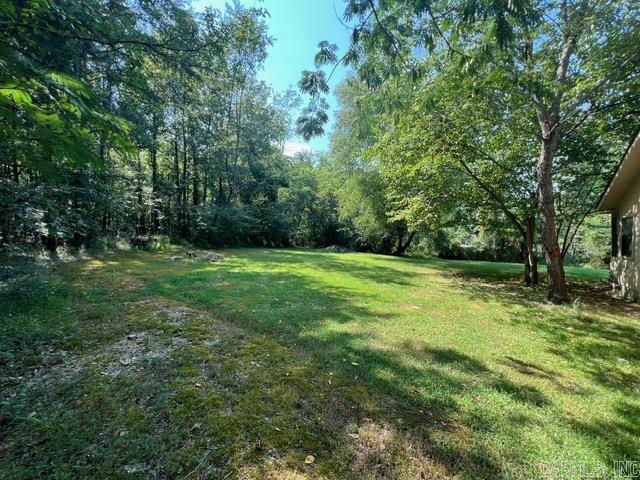 3505 Hwy 71 S Property Photo 26
