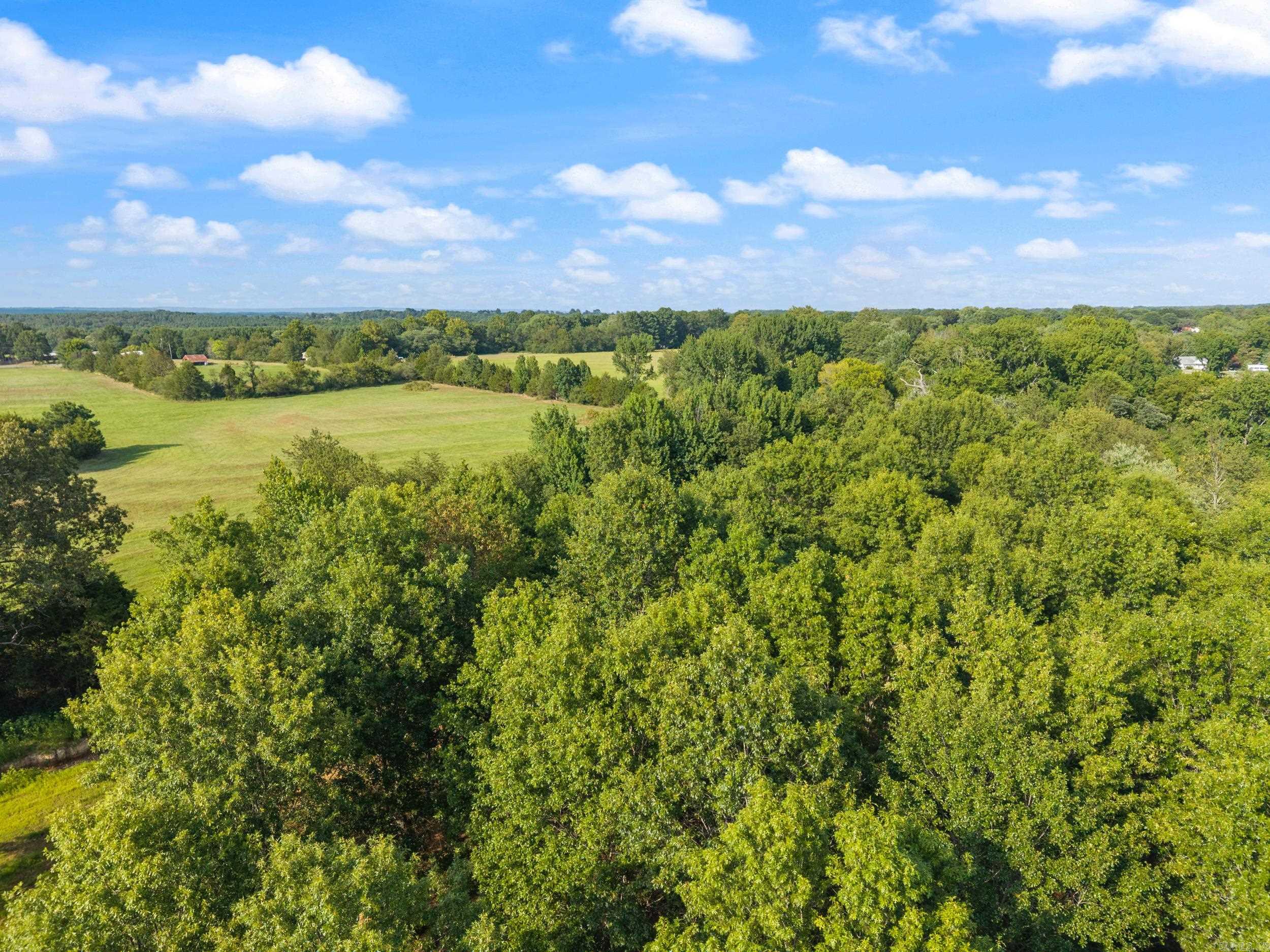 29r River Birch Drive Property Photo 3