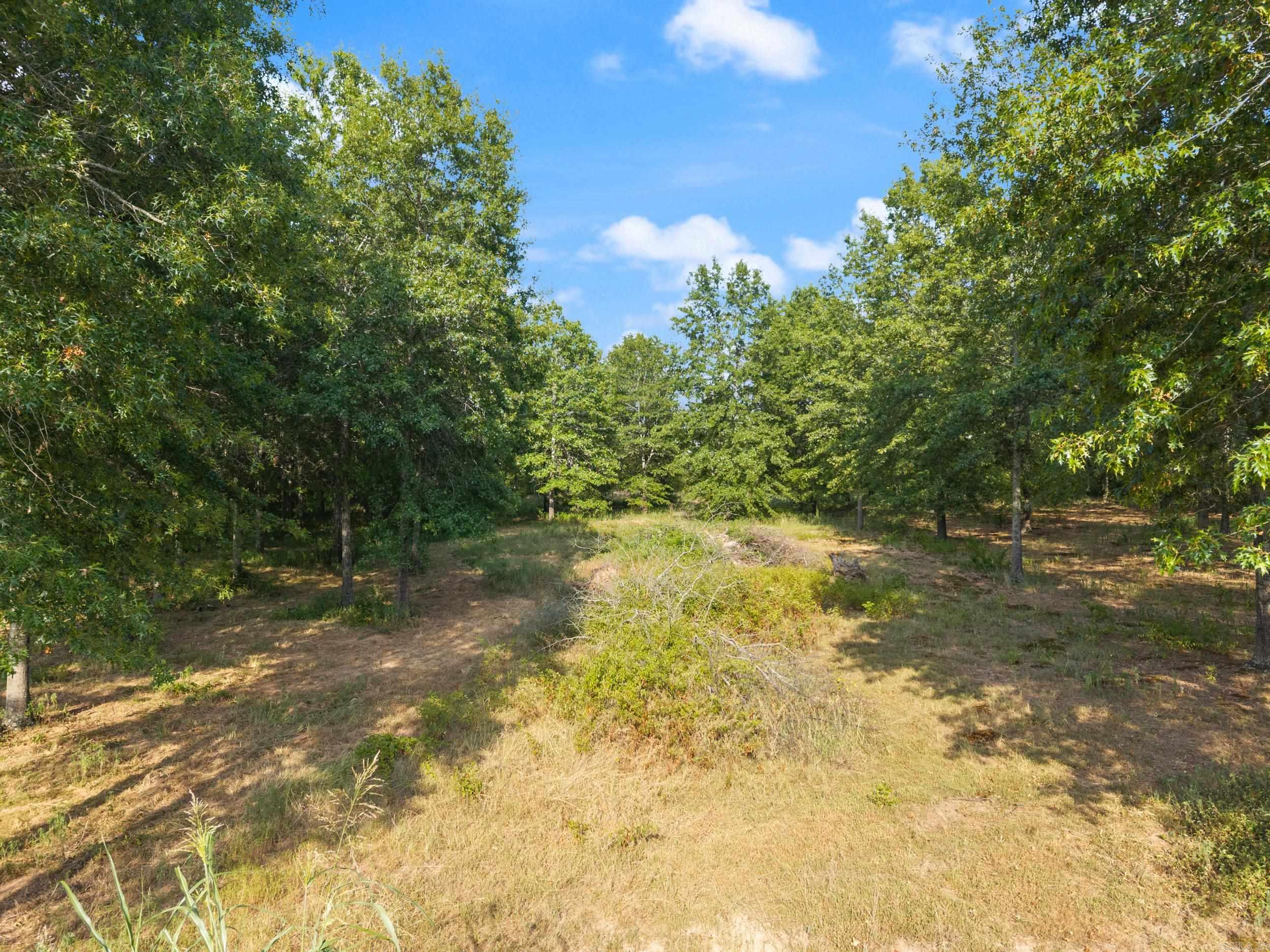 29r River Birch Drive Property Photo 21