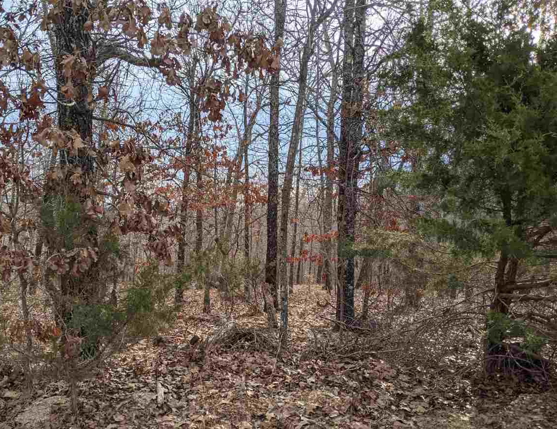Cherokee Acres Drive Property Photo 6
