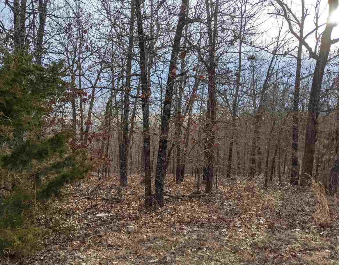 Cherokee Acres Drive Property Photo 7
