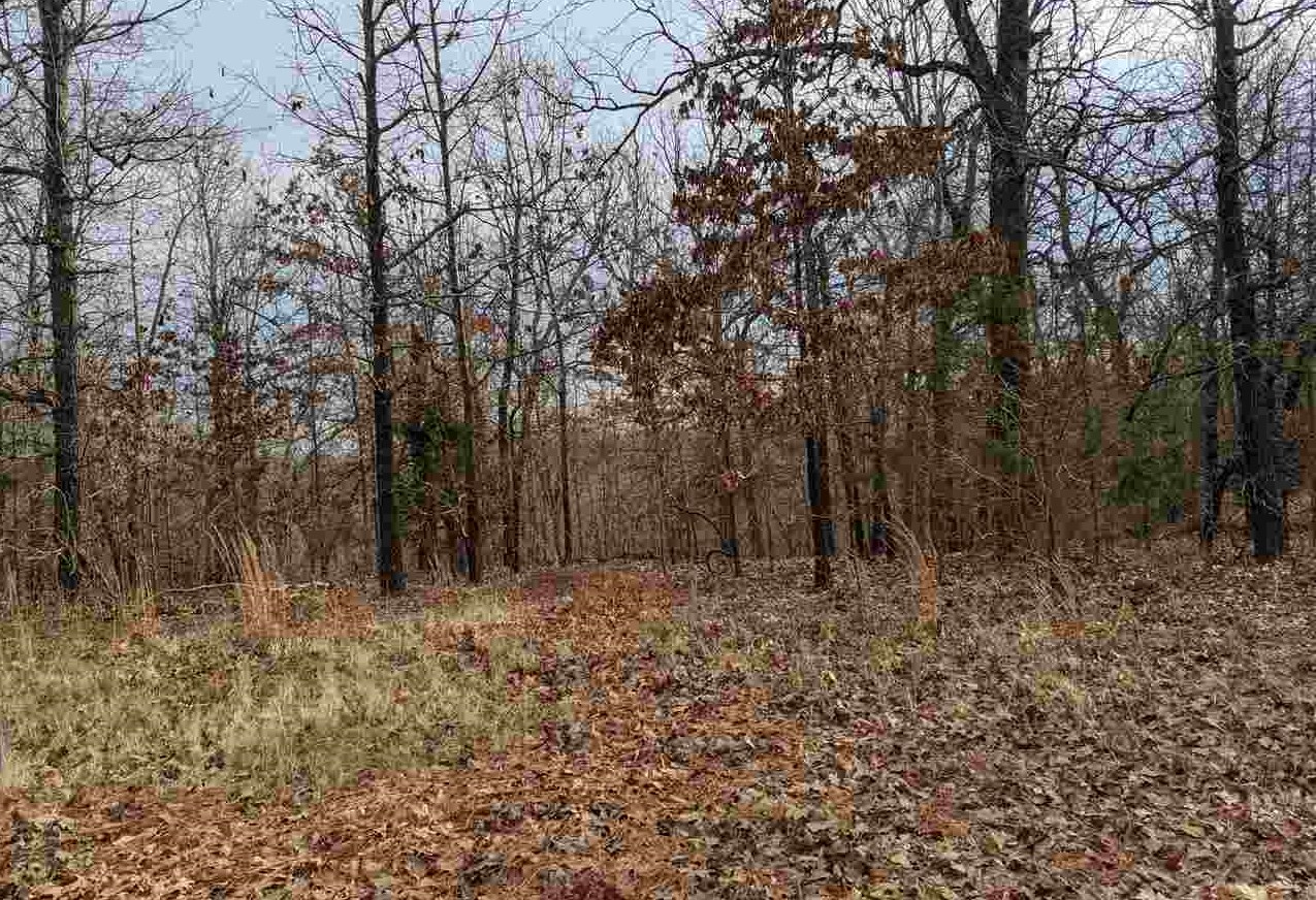 Cherokee Acres Drive Property Photo 10