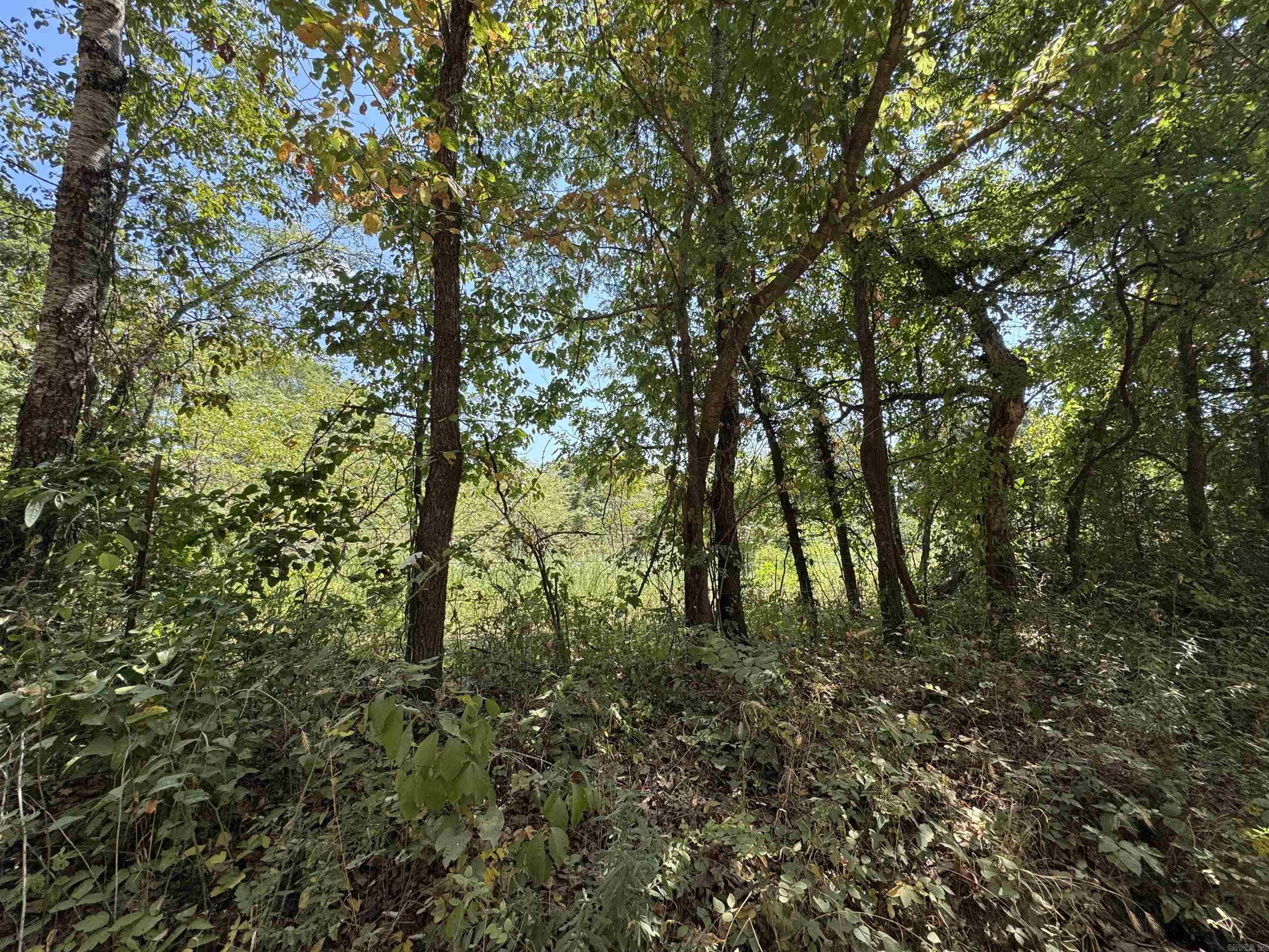 000 Gaylor Rd Property Photo 14
