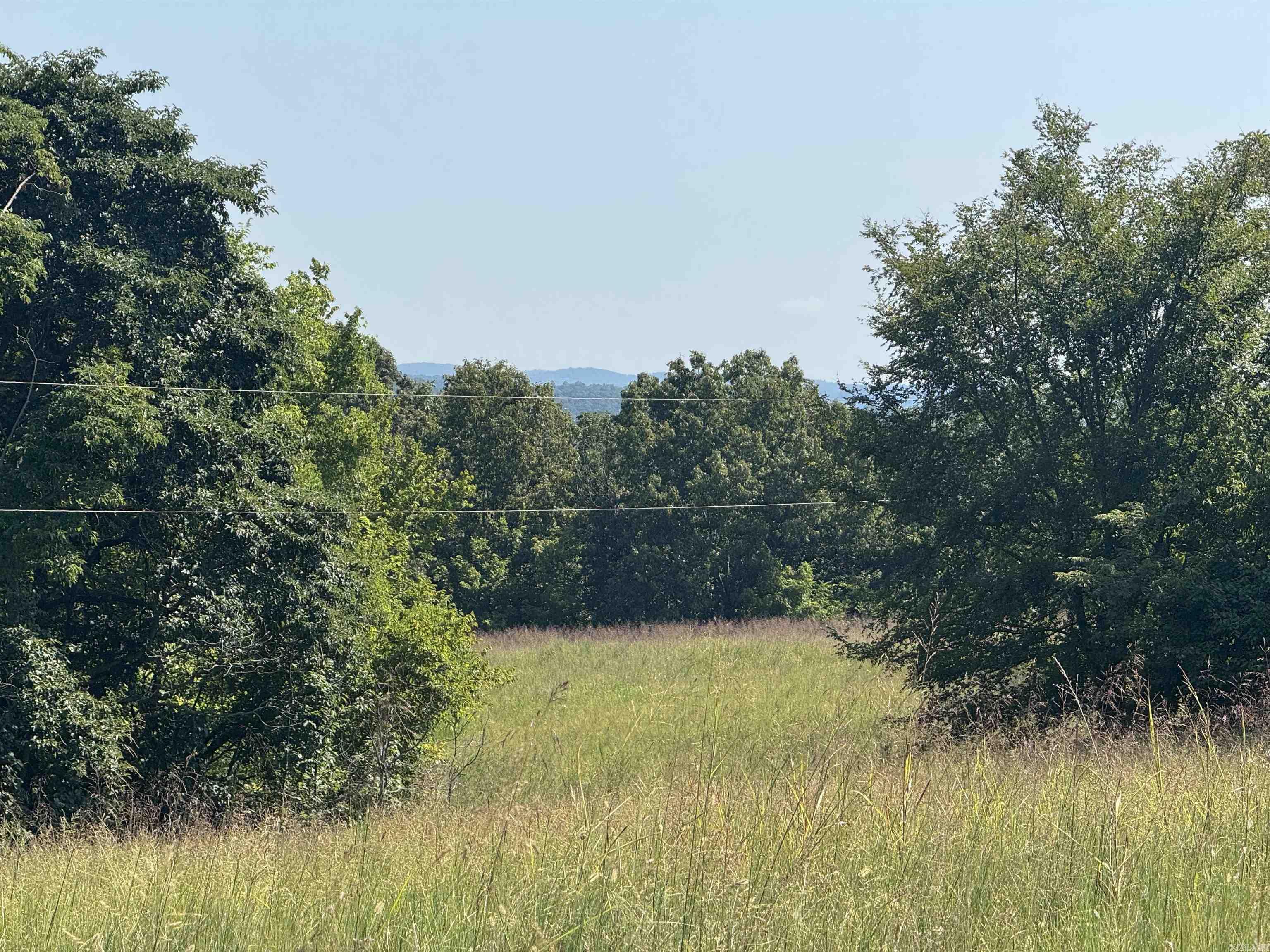 000 Holmes Rd Property Photo 4
