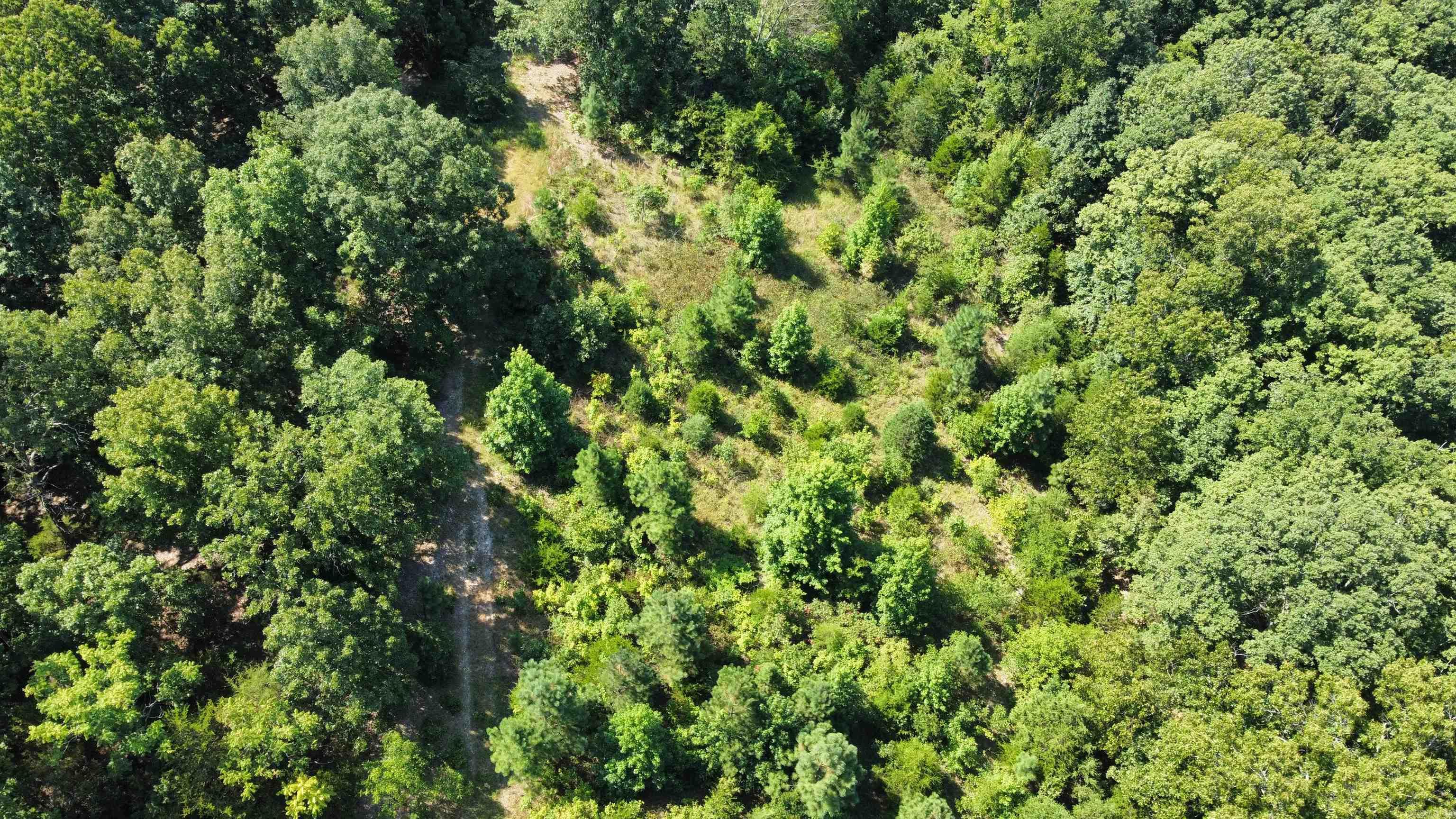 000 Holmes Rd Property Photo 9