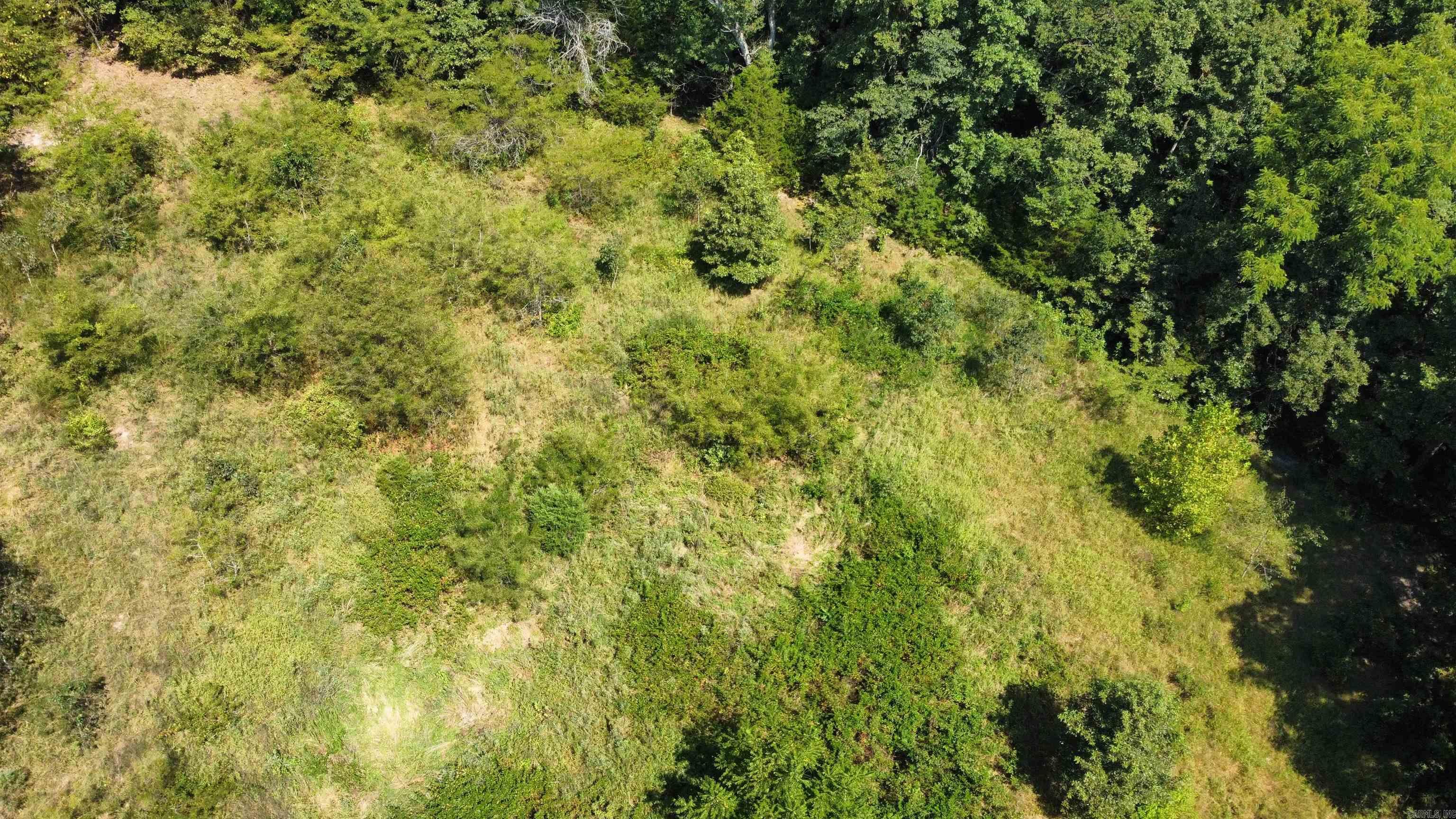 000 Holmes Rd Property Photo 11