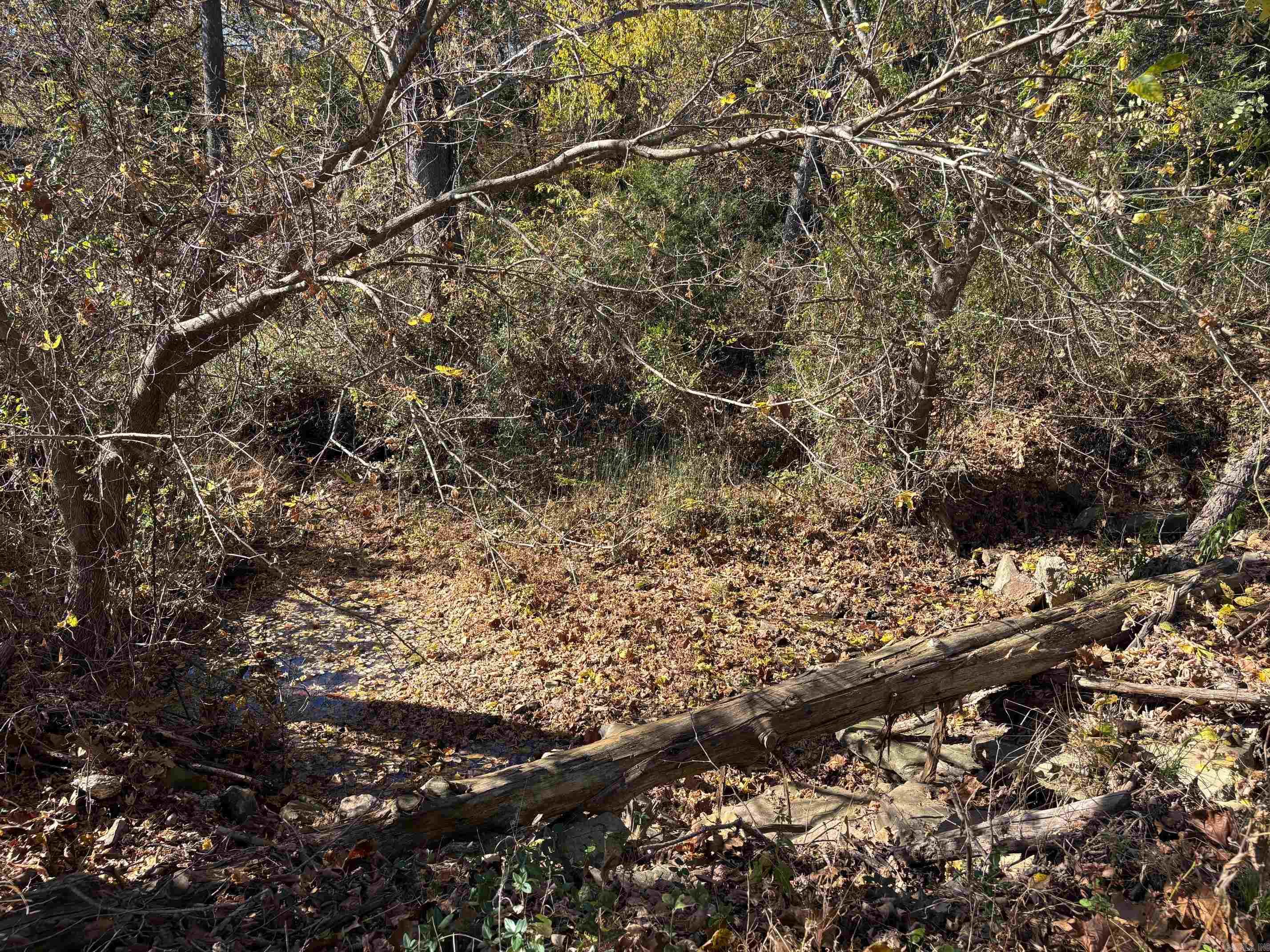 W Highway 374 Property Photo 12