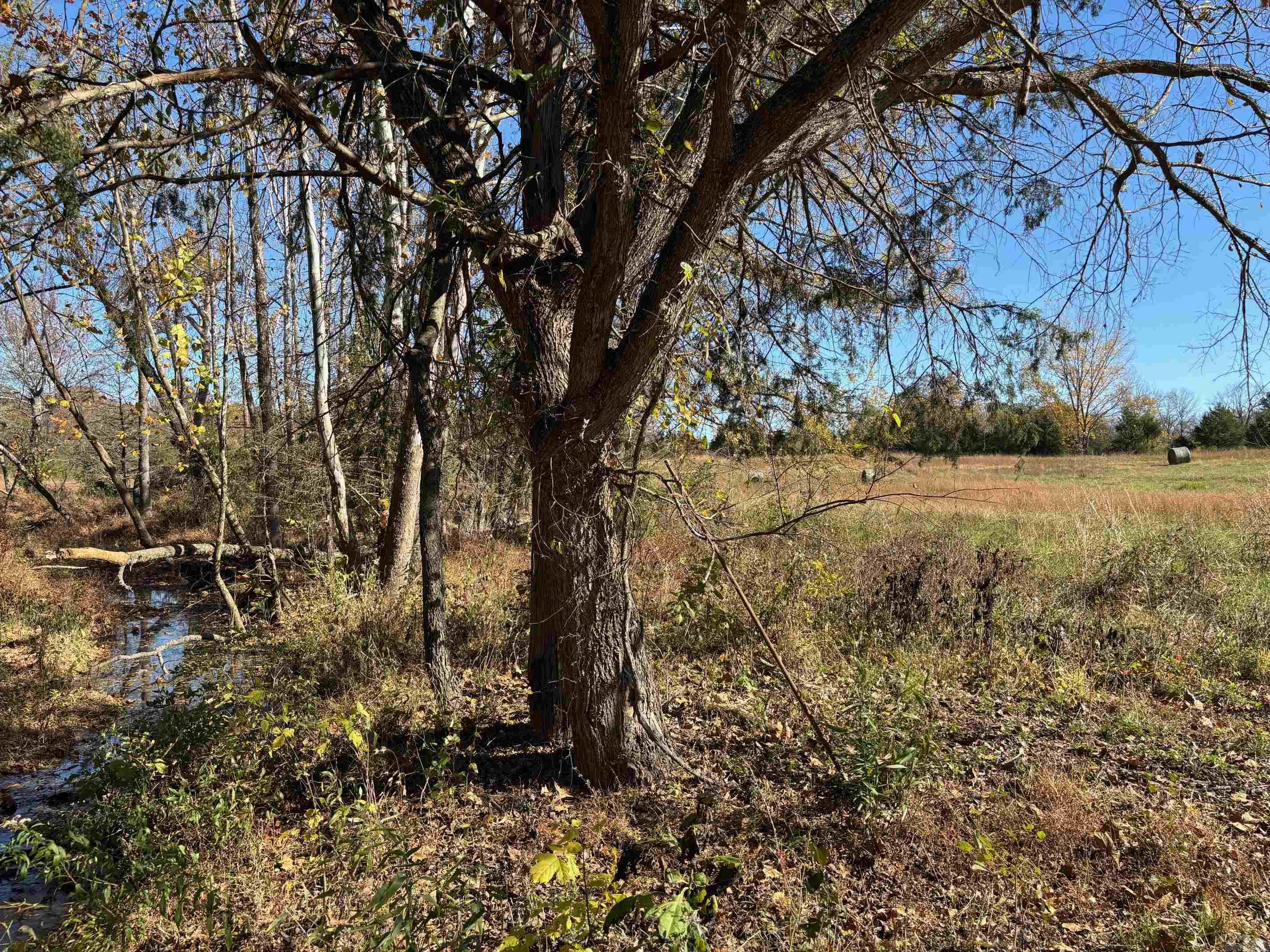 W Highway 374 Property Photo 16