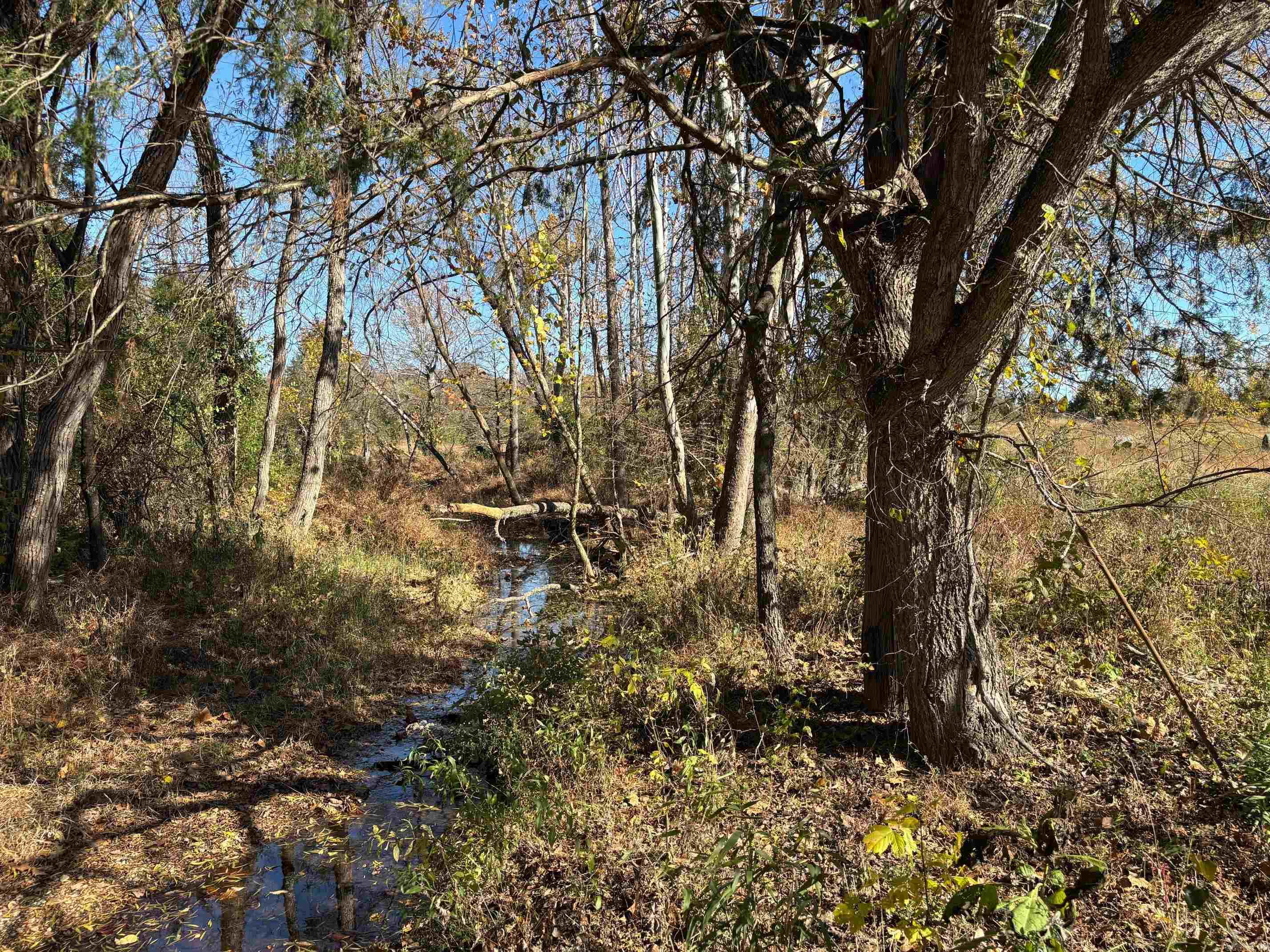 W Highway 374 Property Photo 17