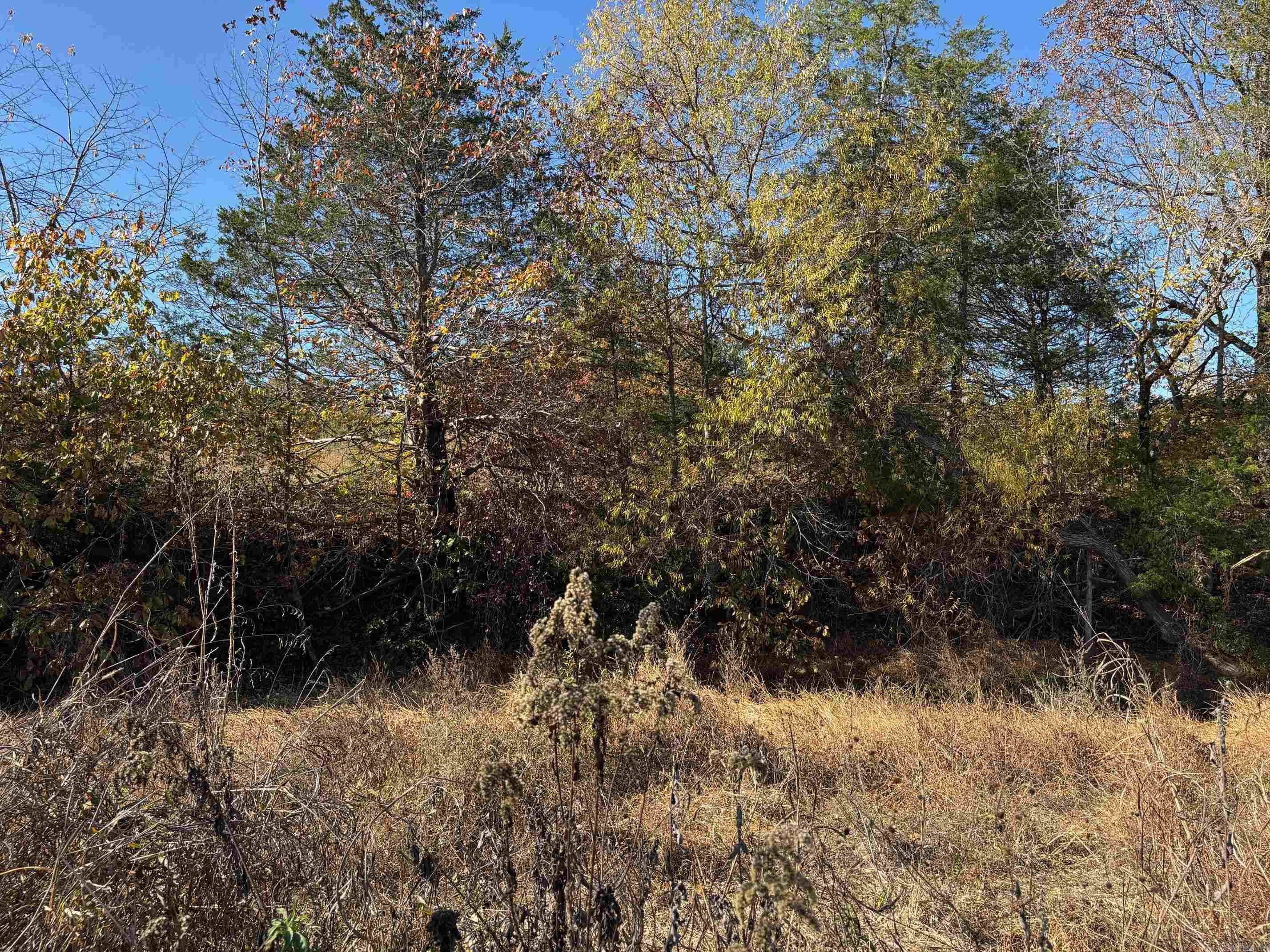 W Highway 374 Property Photo 18