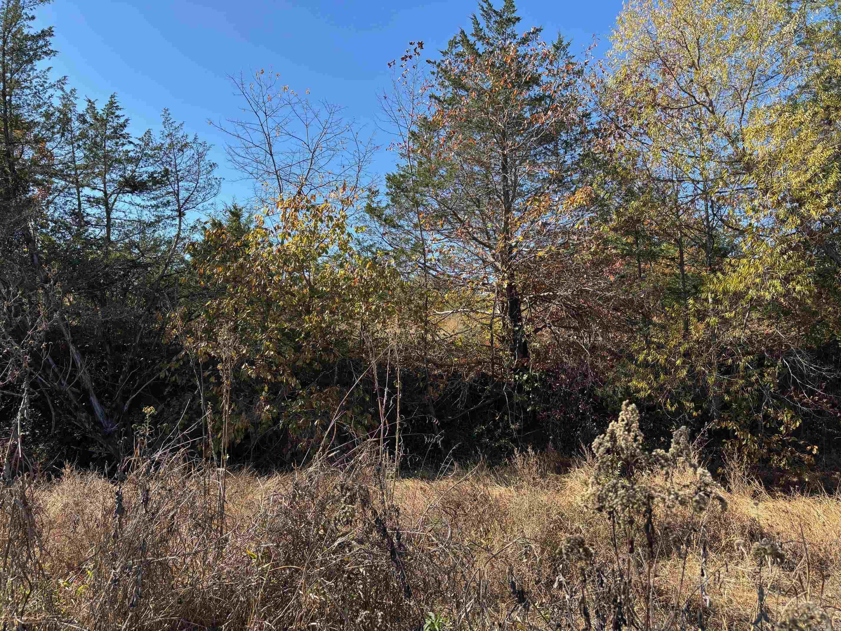 W Highway 374 Property Photo 19