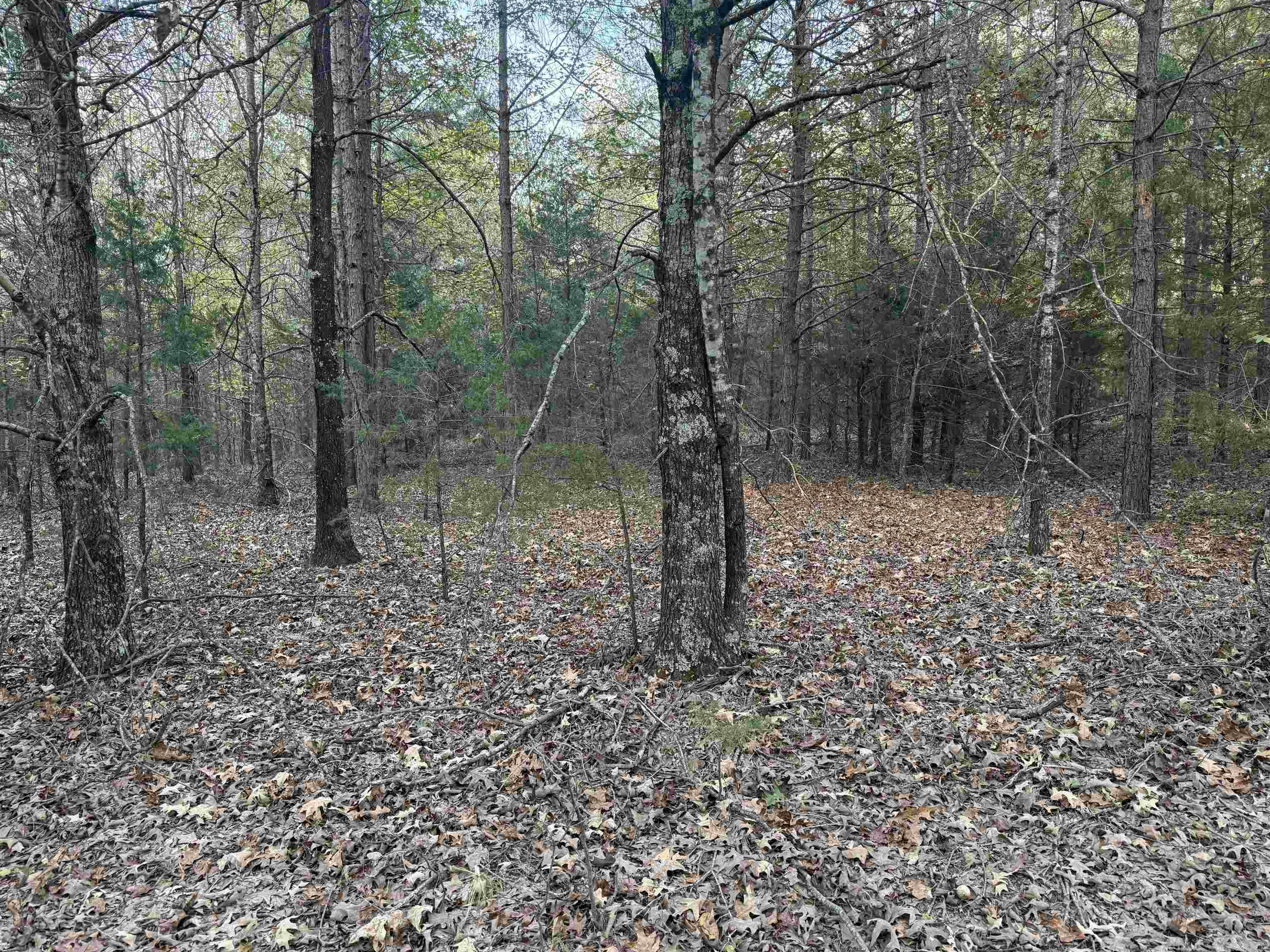 141 Duncan Ln Property Photo 6