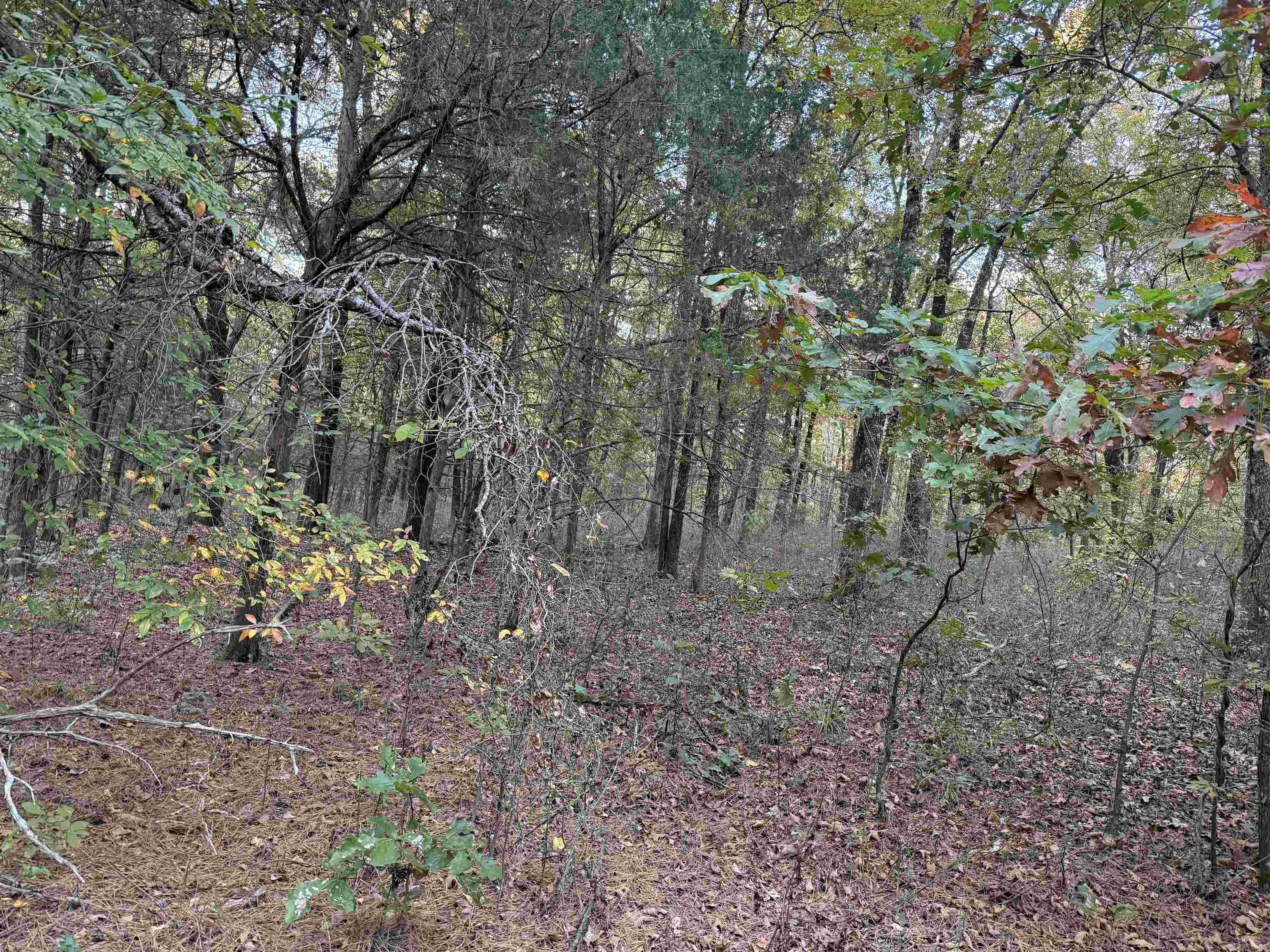 141 Duncan Ln Property Photo 7