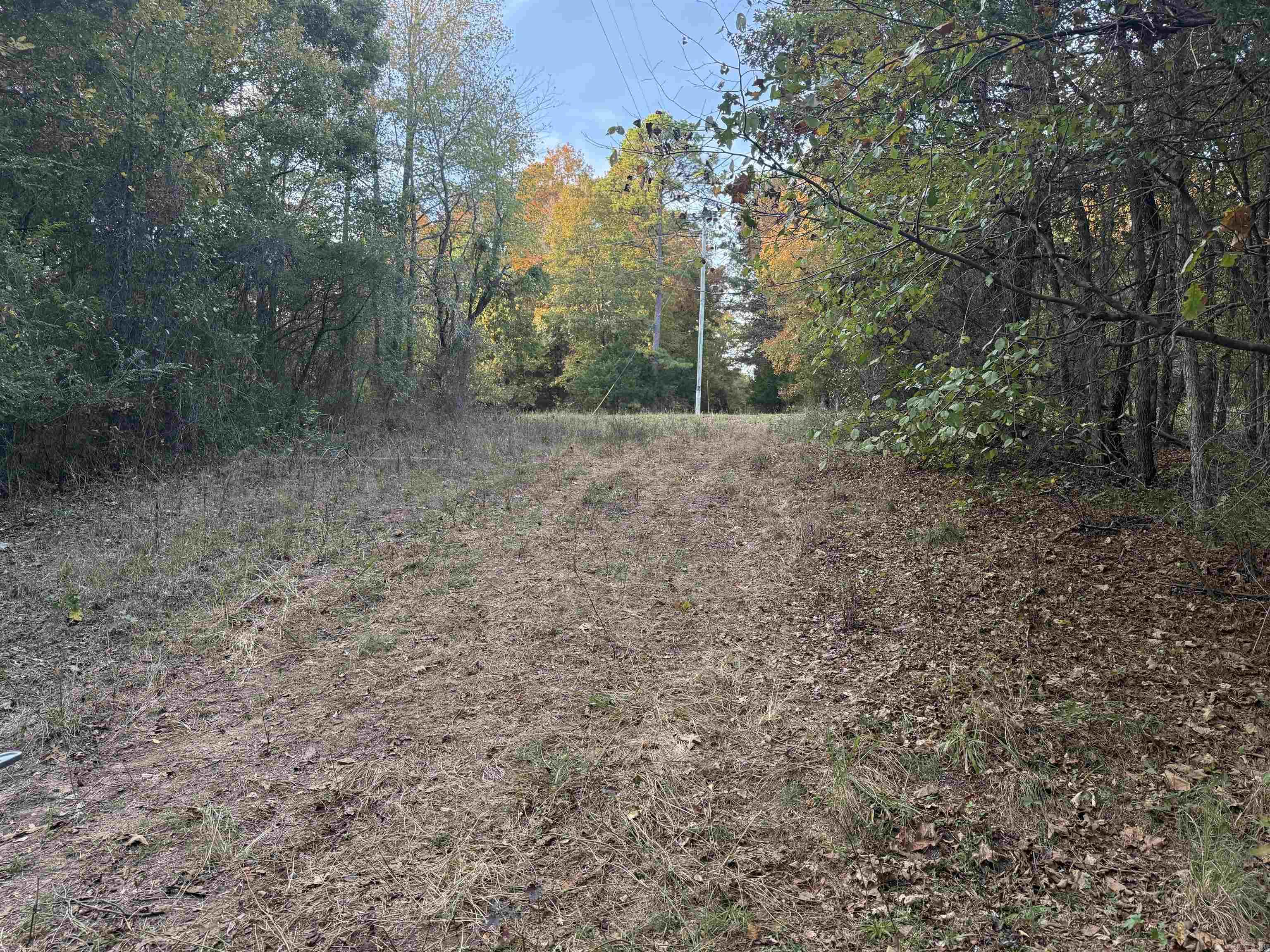141 Duncan Ln Property Photo 10