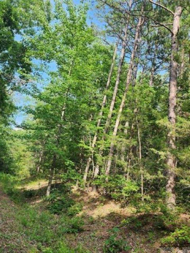 0 Owen Property Photo 4