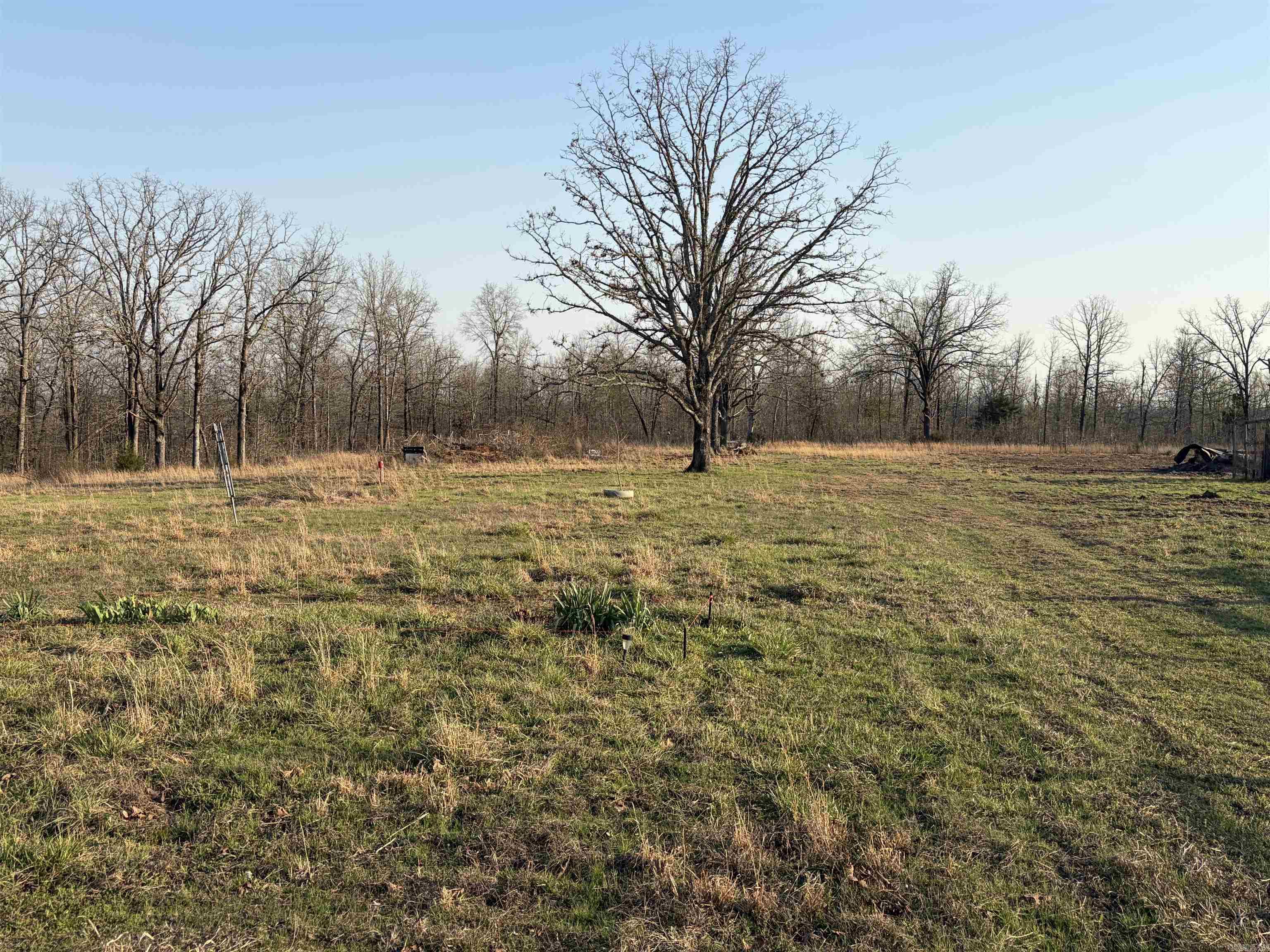 128 Brook Grove Trl Property Photo 7