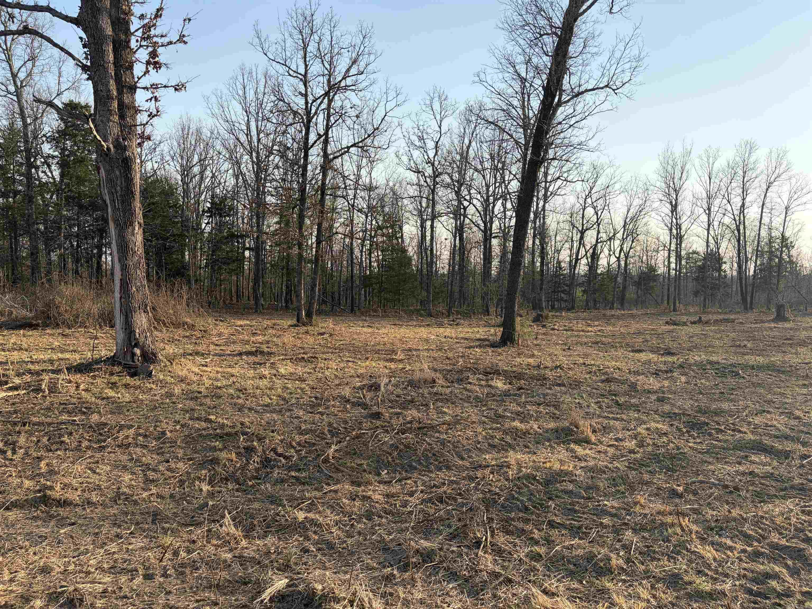 128 Brook Grove Trl Property Photo 8