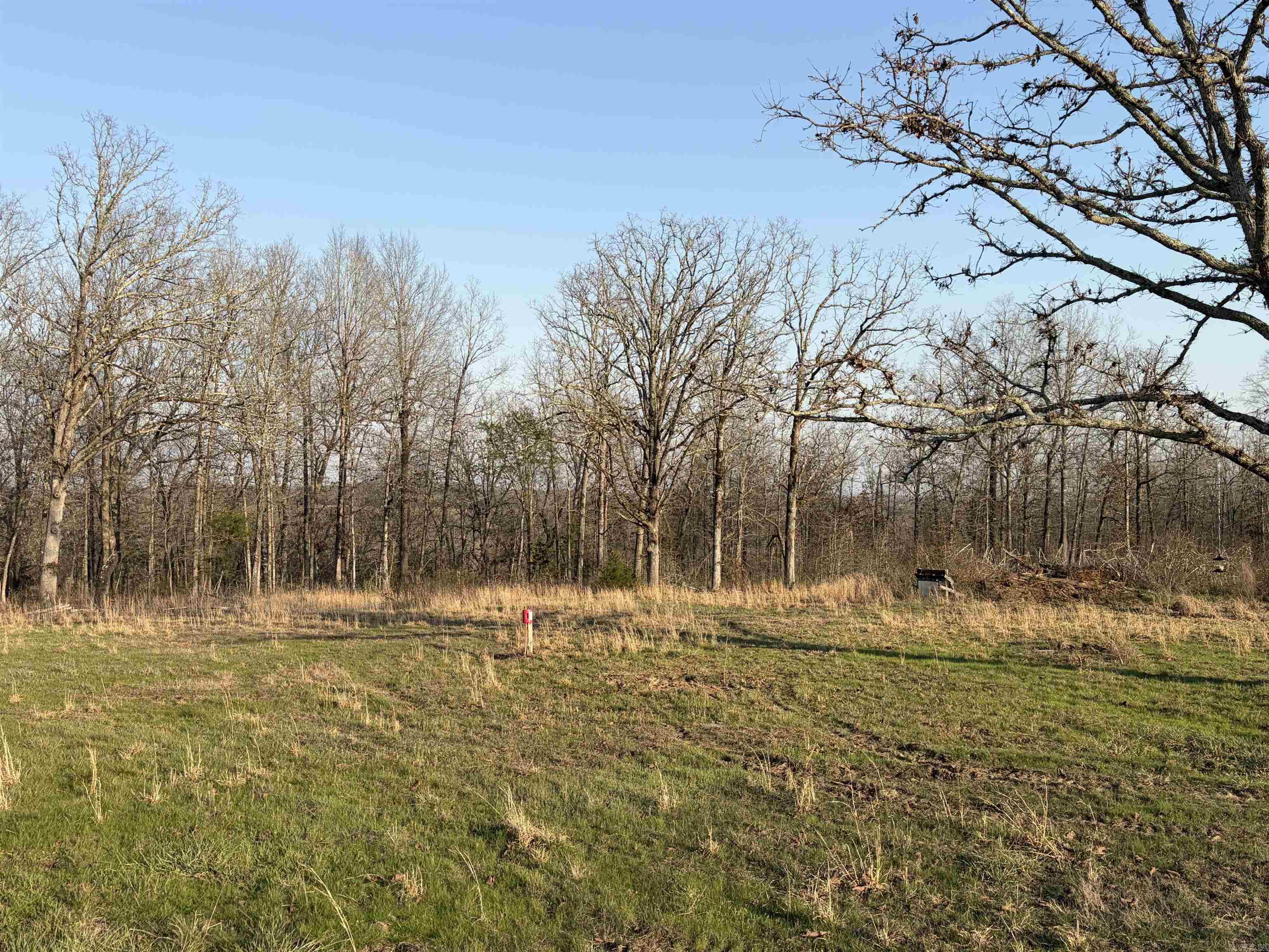 128 Brook Grove Trl Property Photo 9