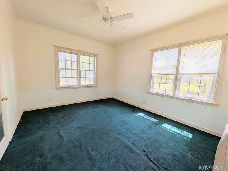 308 Elaine Property Photo 25