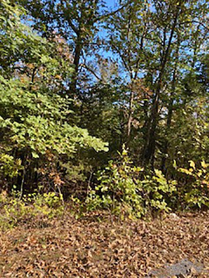 Tonto Drive Property Photo 2