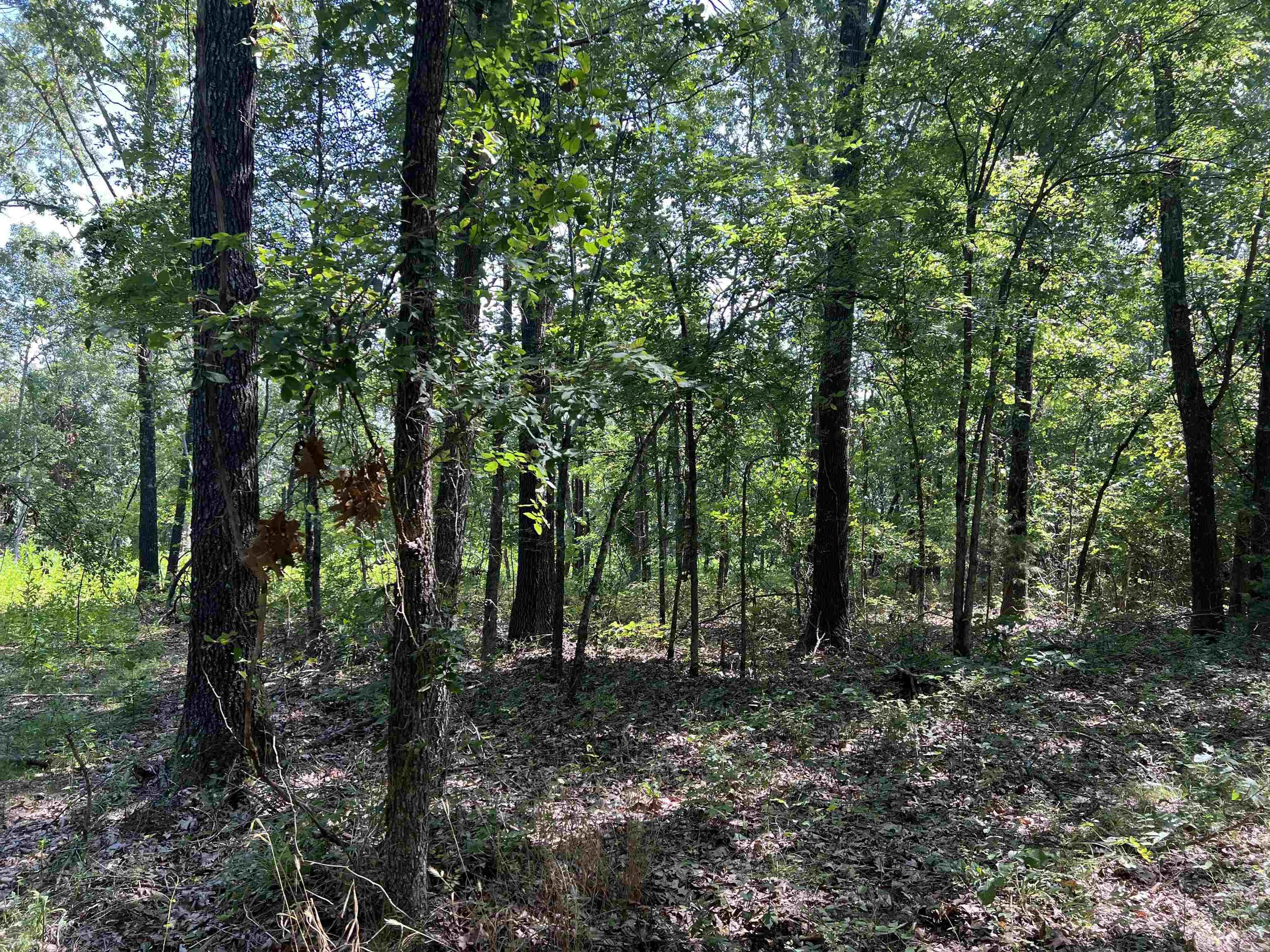 47 Cedar Creek Drive Property Photo 1