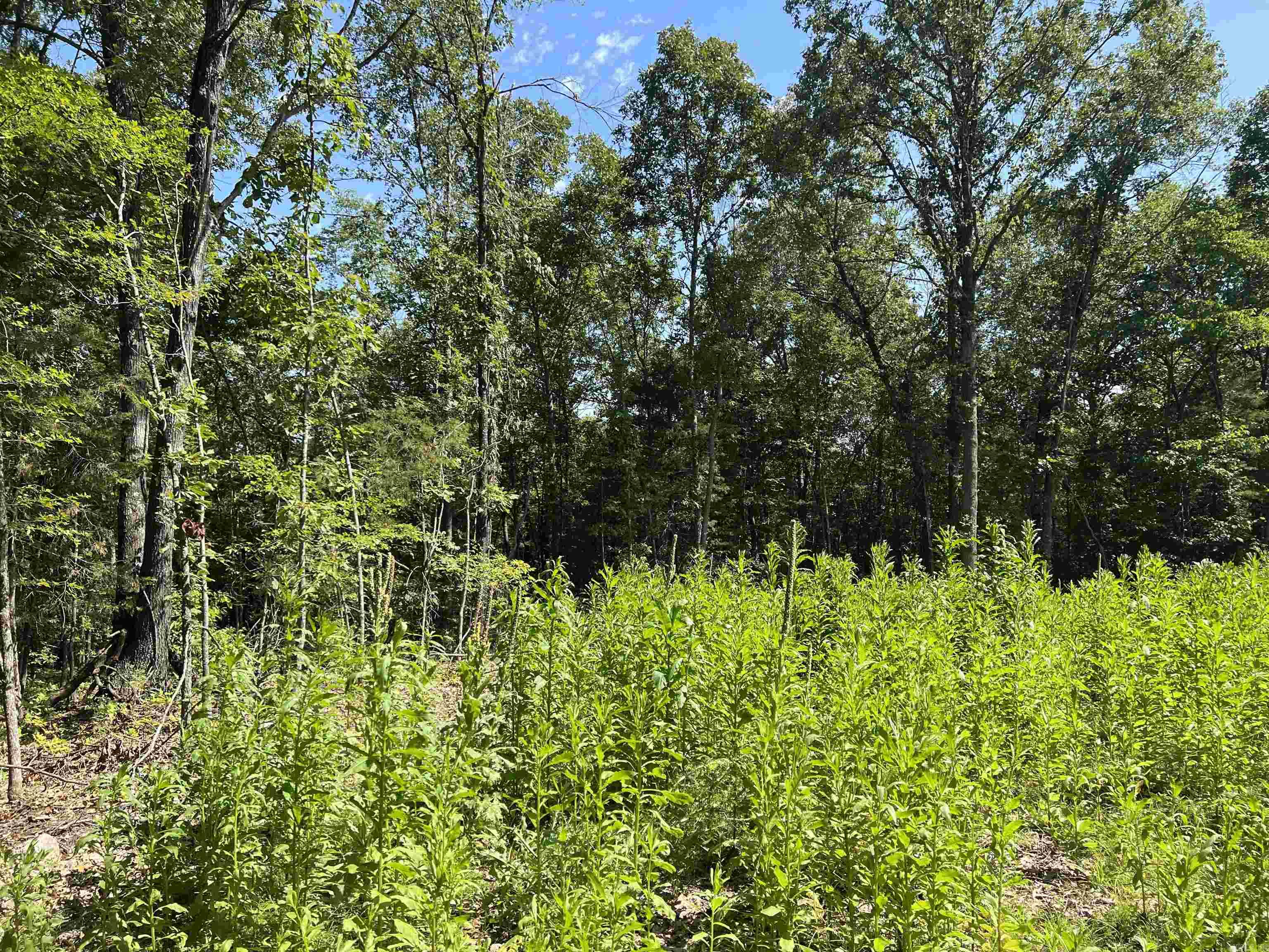 47 Cedar Creek Drive Property Photo 3