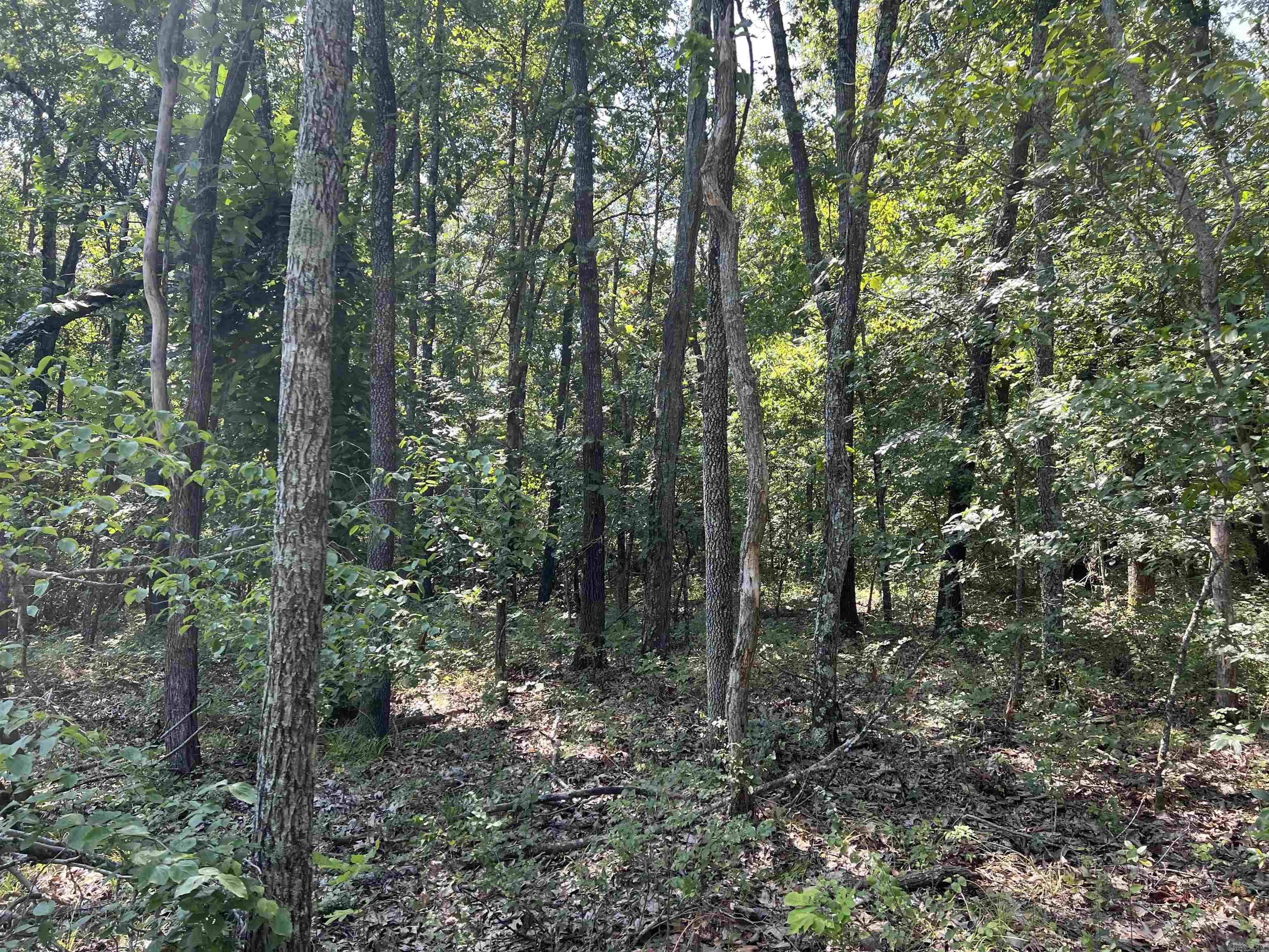 47 Cedar Creek Drive Property Photo 4