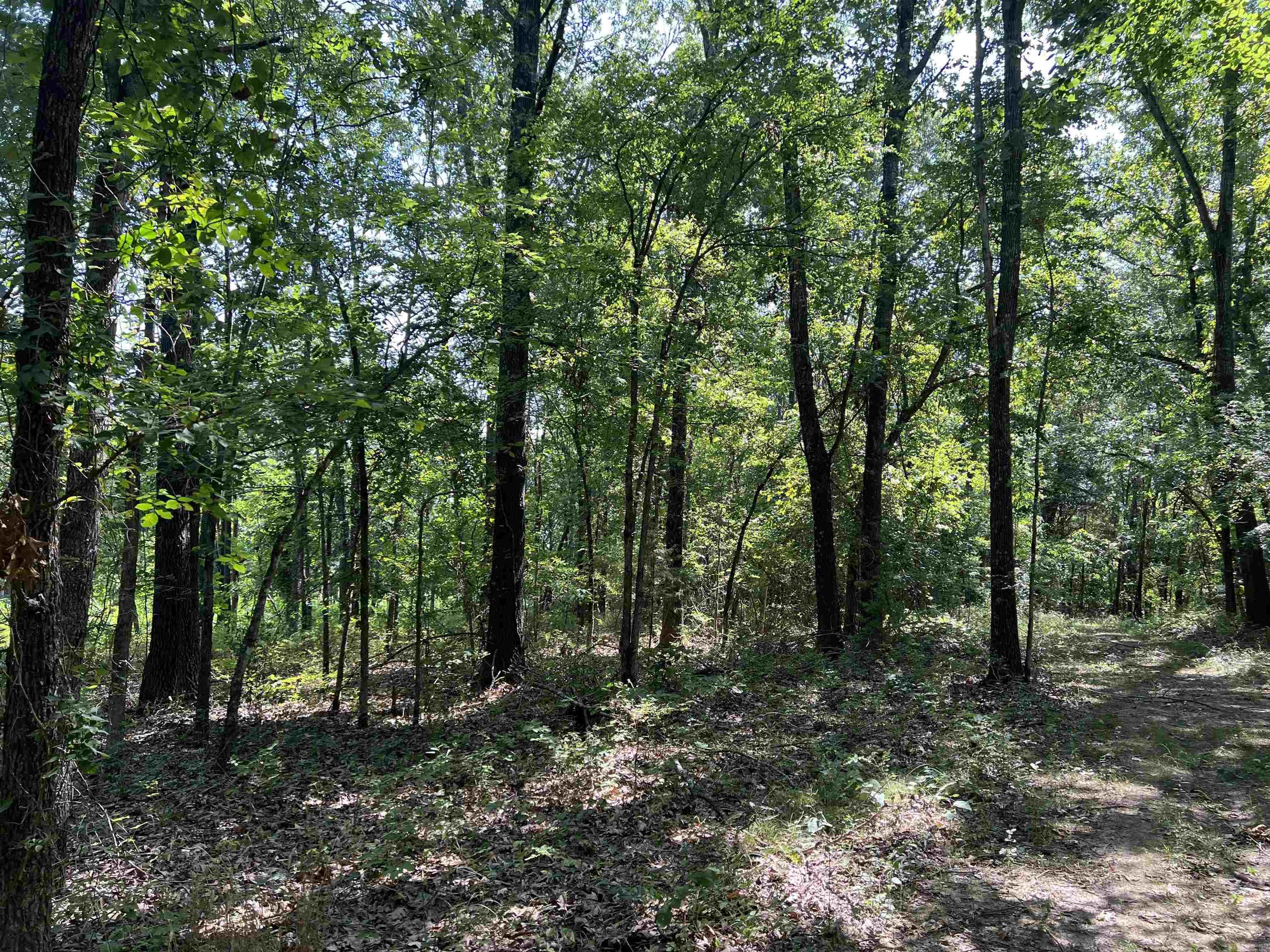 47 Cedar Creek Drive Property Photo 6