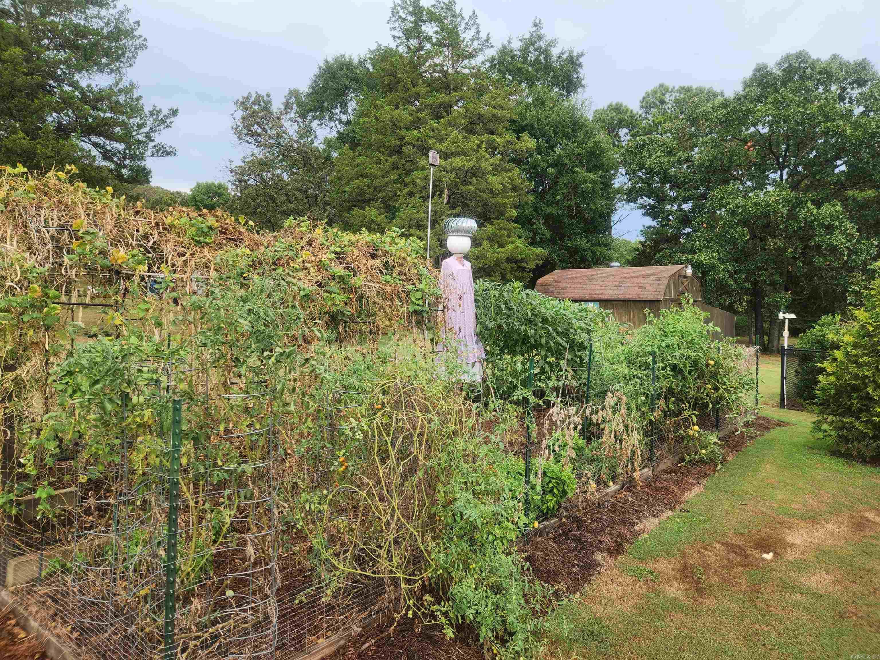 315 Private Road 3393 Road Property Photo 43