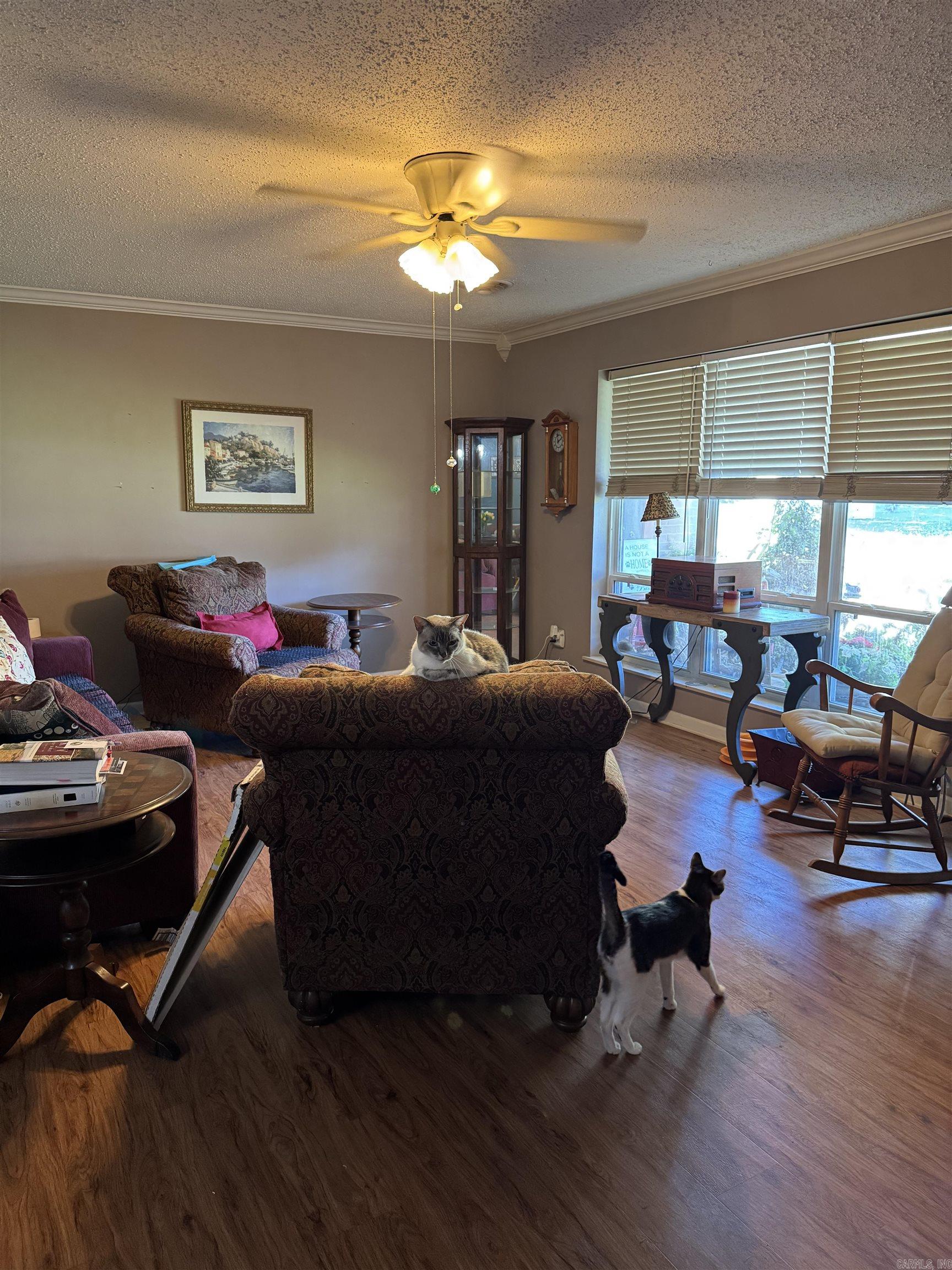591 Valarie Ln Property Photo 4