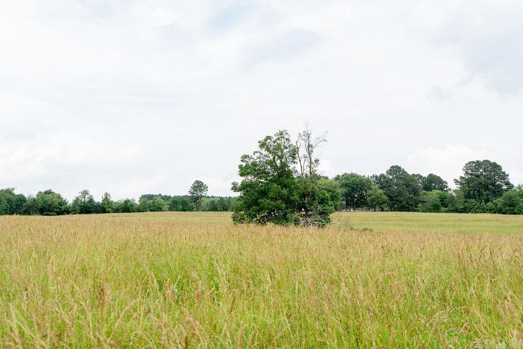 65 Five Mile Rd. Property Photo 45