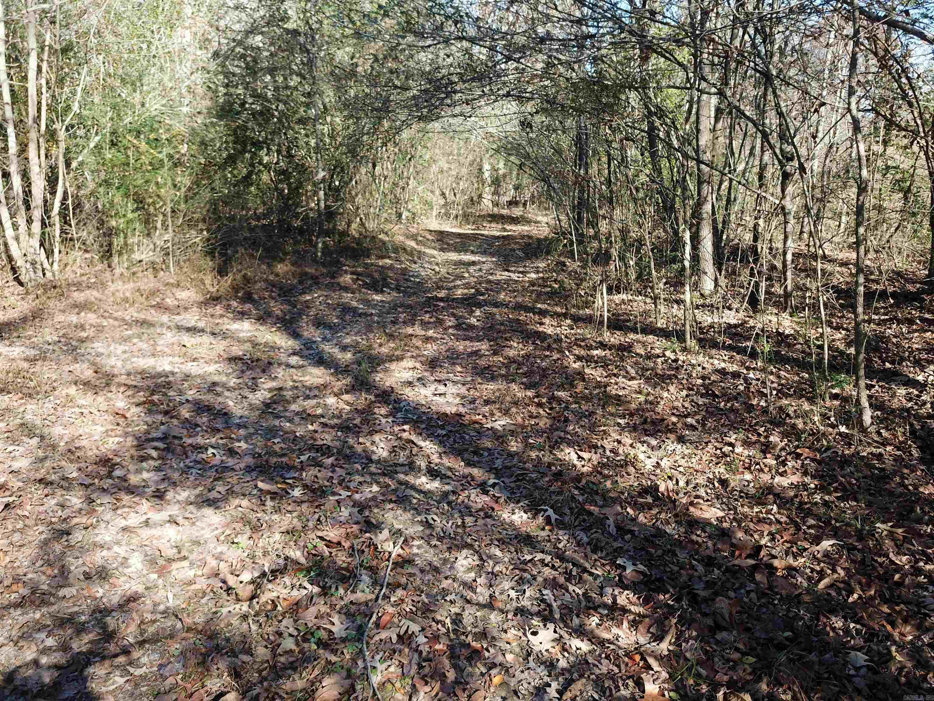 0000 White Oak Drive Property Photo 8