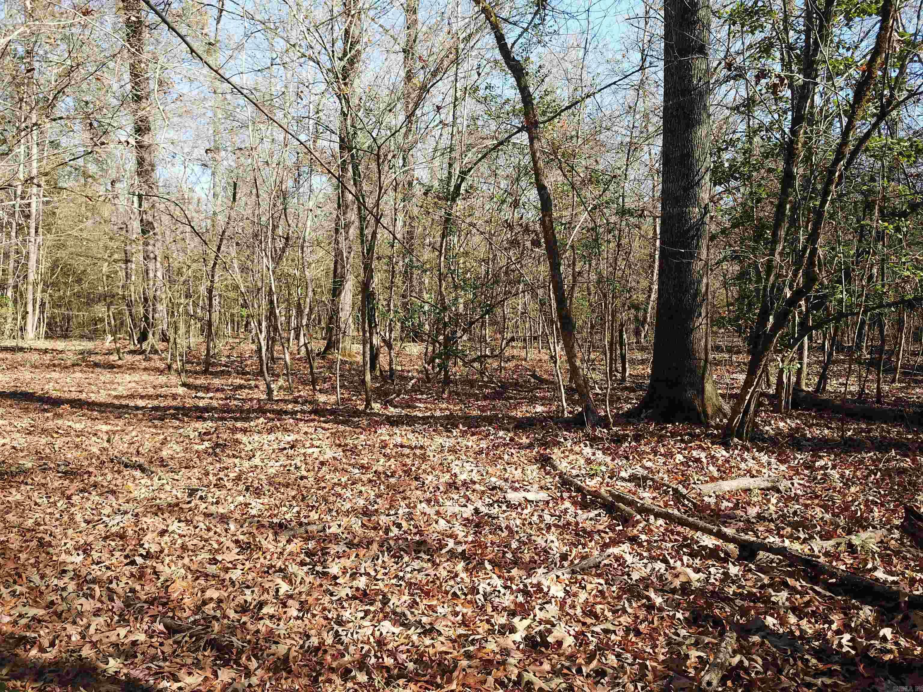 0000 White Oak Drive Property Photo 9