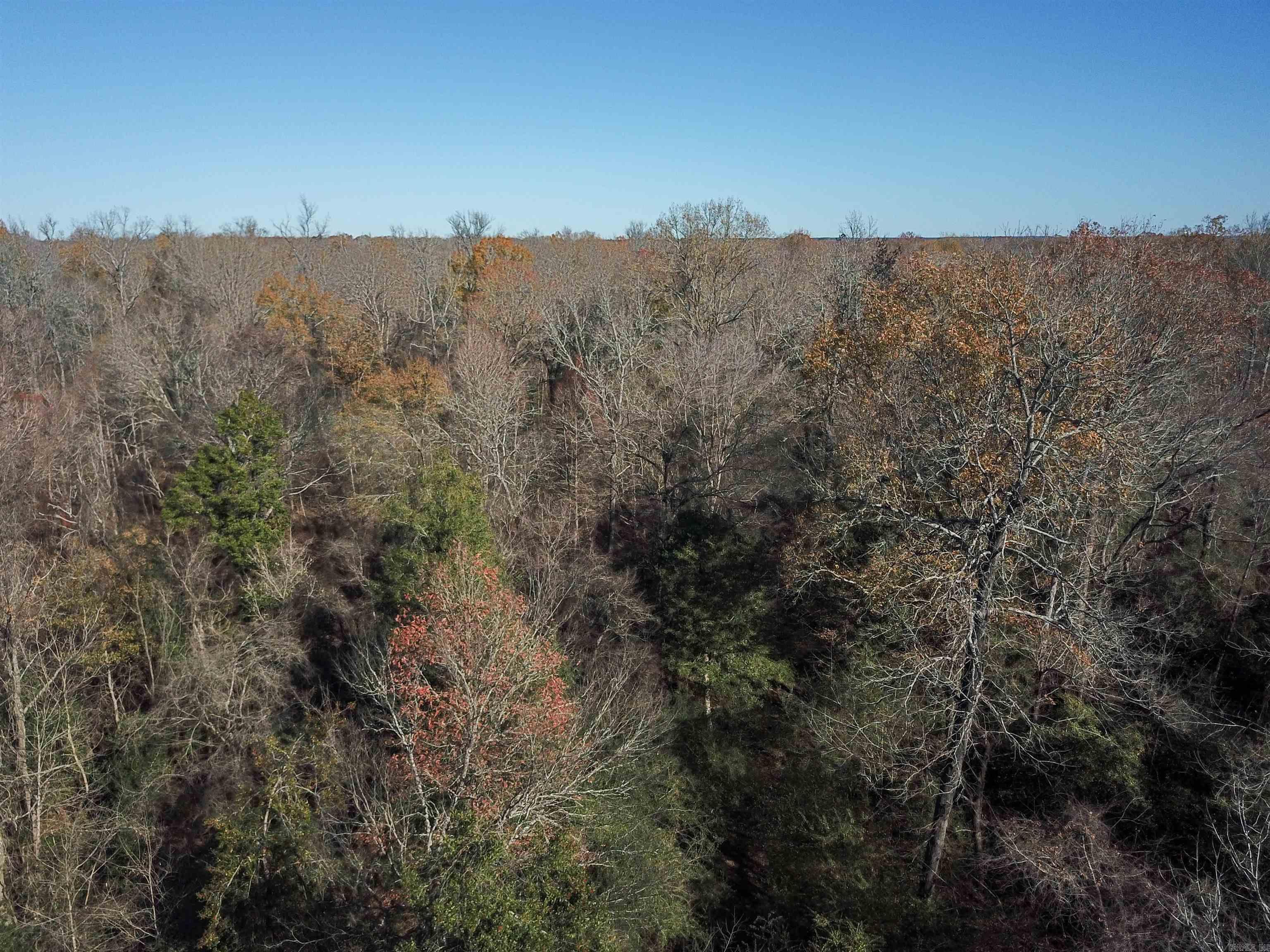 0000 White Oak Drive Property Photo 10