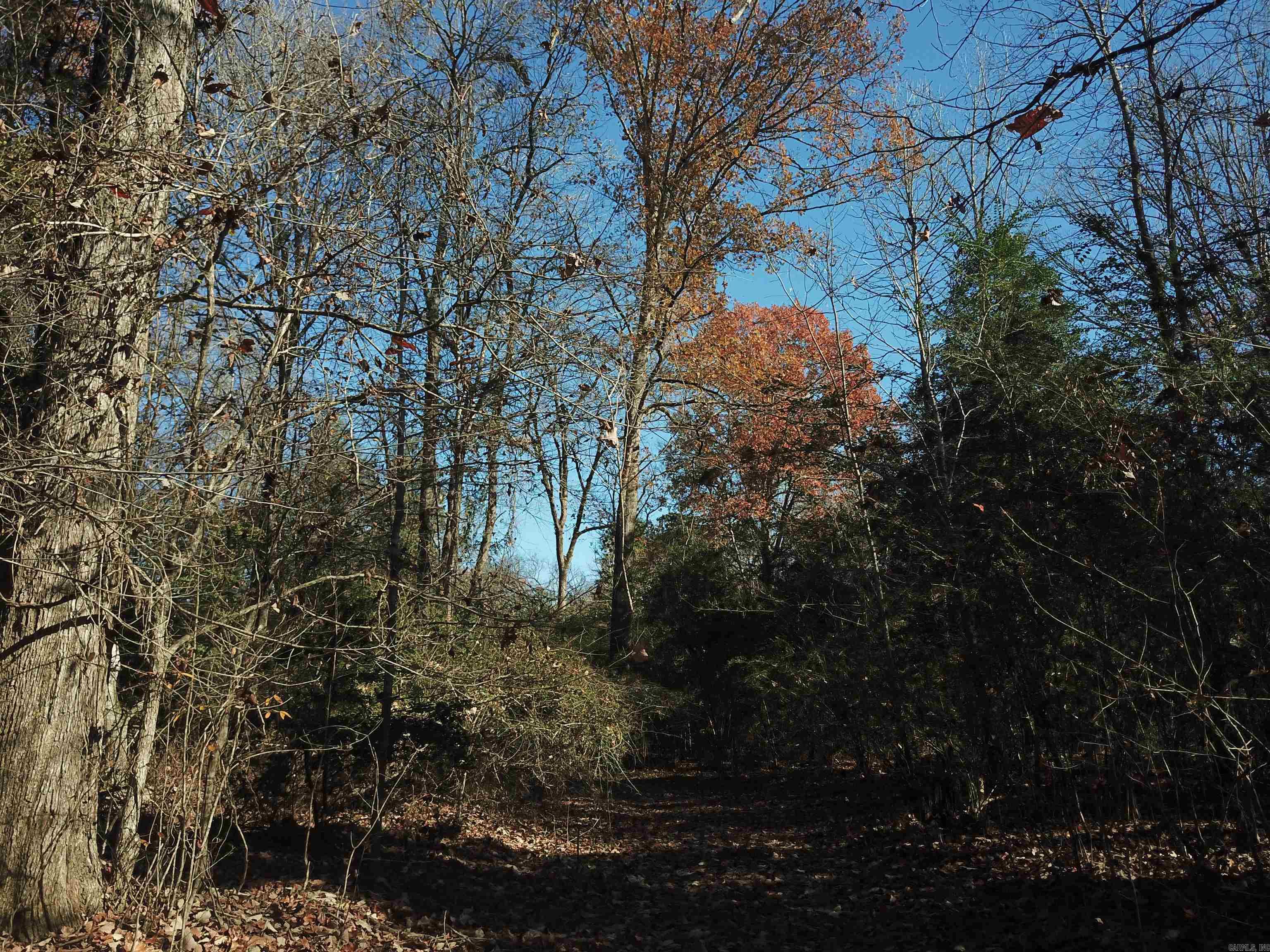 0000 White Oak Drive Property Photo 15