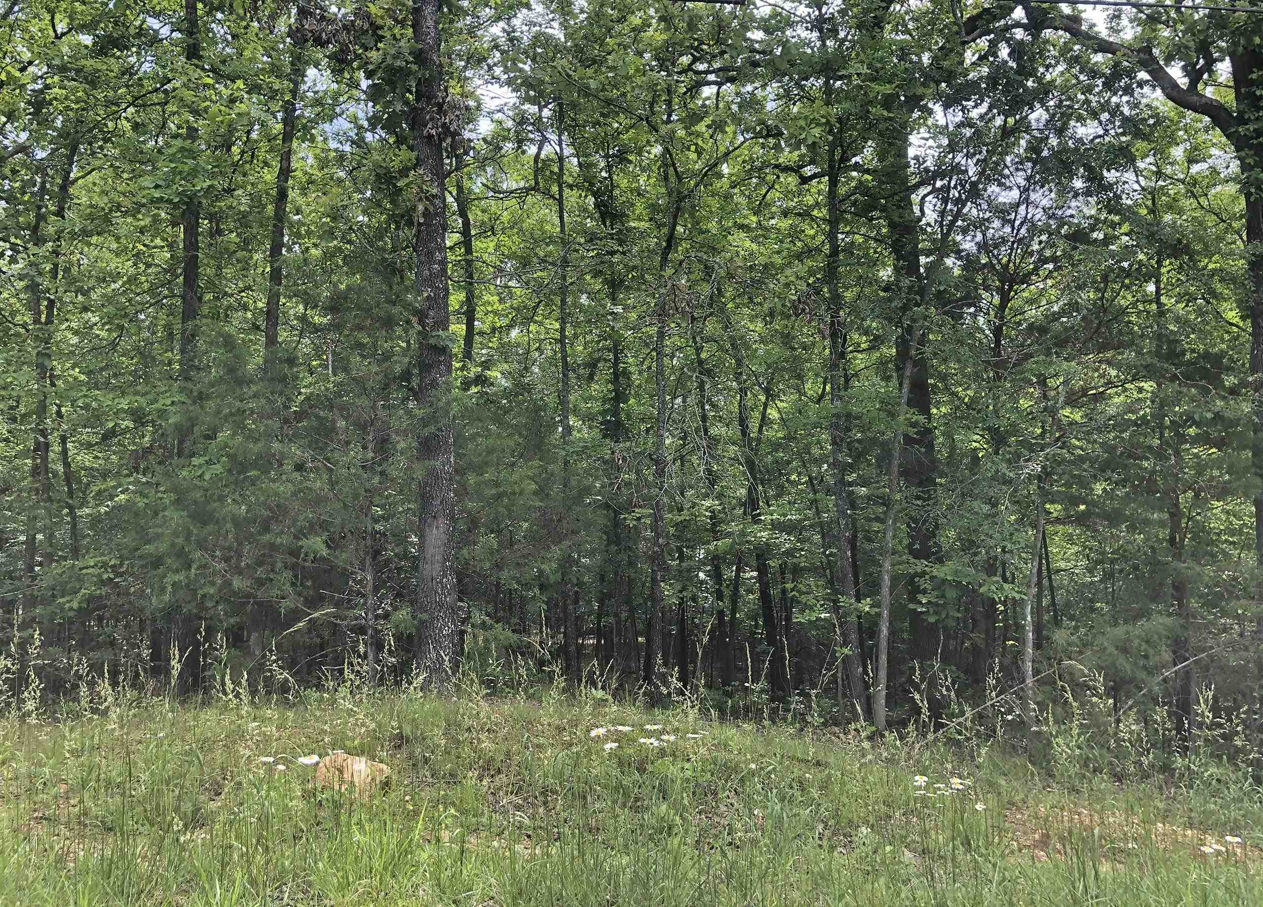 Okmulgee Drive Property Photo 1