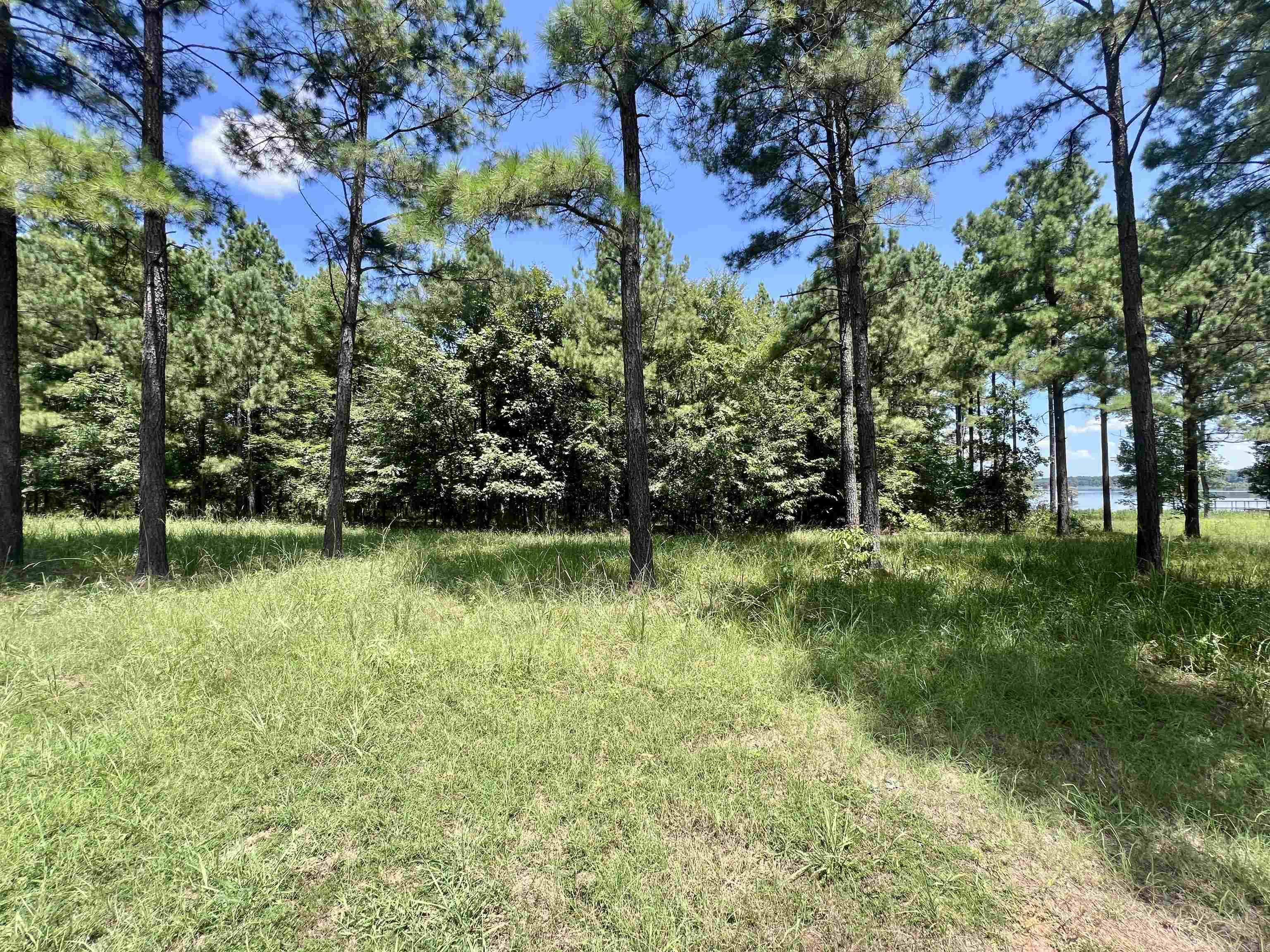 Lot 4 Eagle Brook Drive Property Photo 3