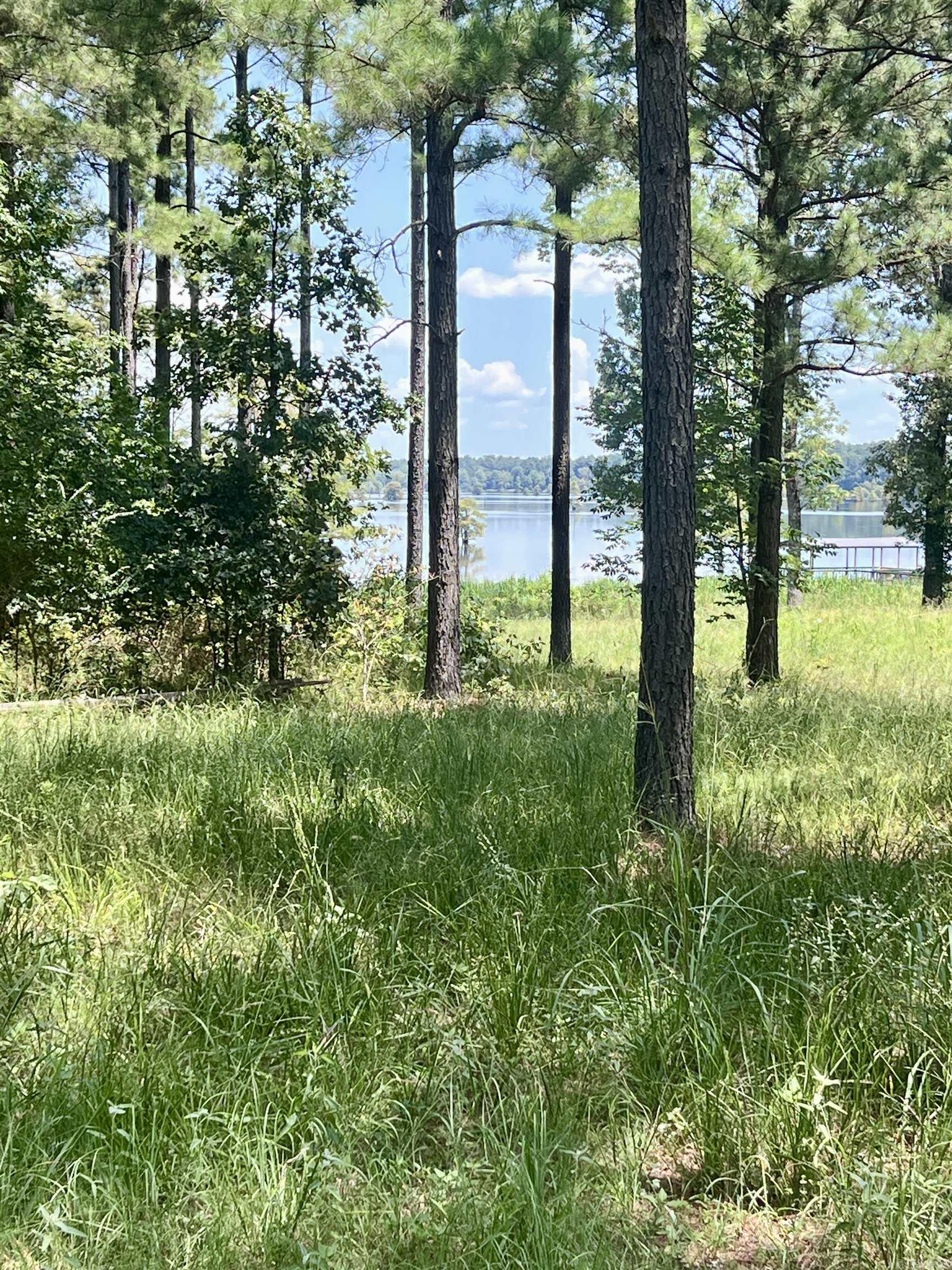Lot 4 Eagle Brook Drive Property Photo 4