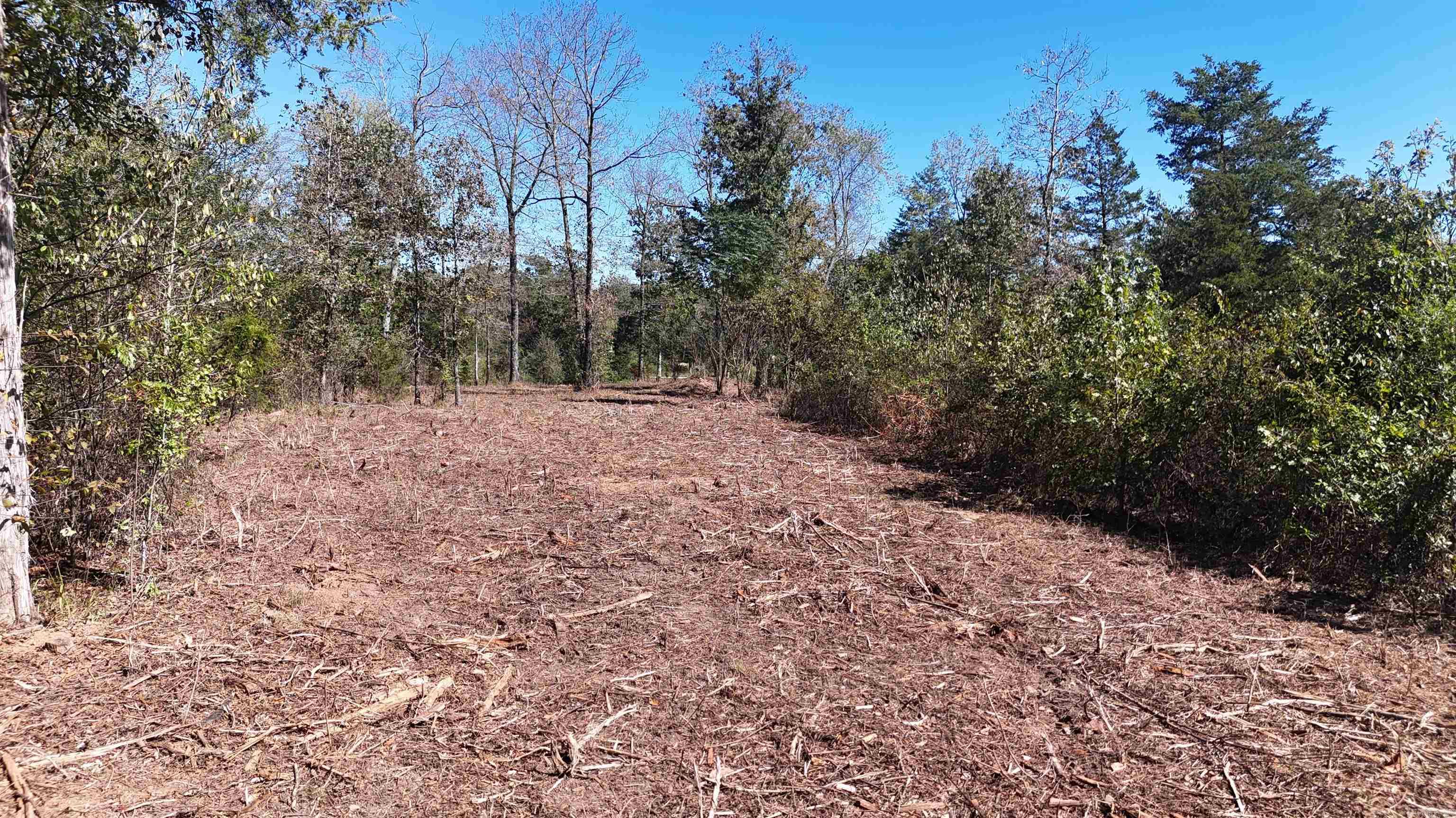 TBD Polk Road 676
