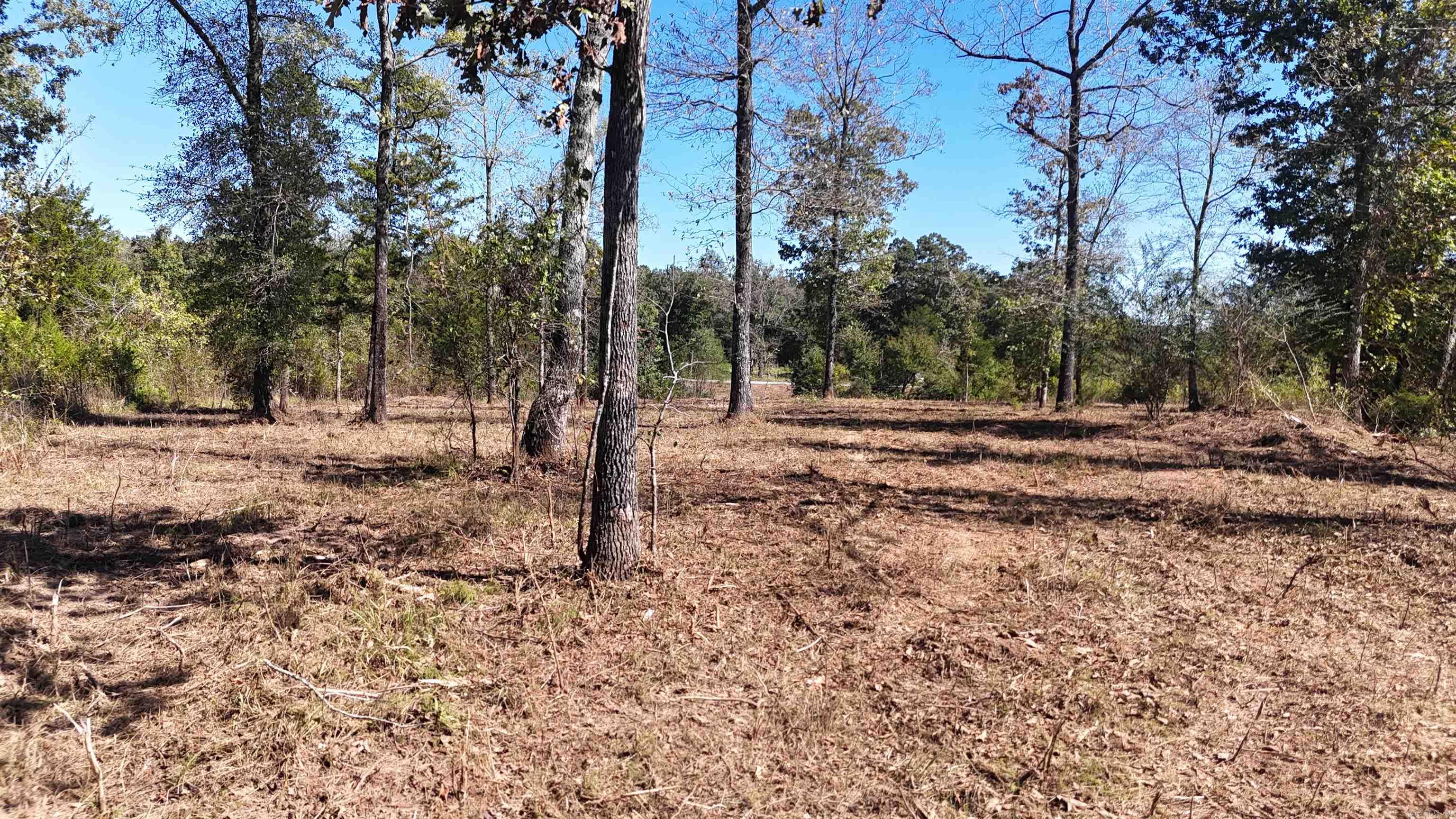 Tbd Polk Road 676 Property Photo 2