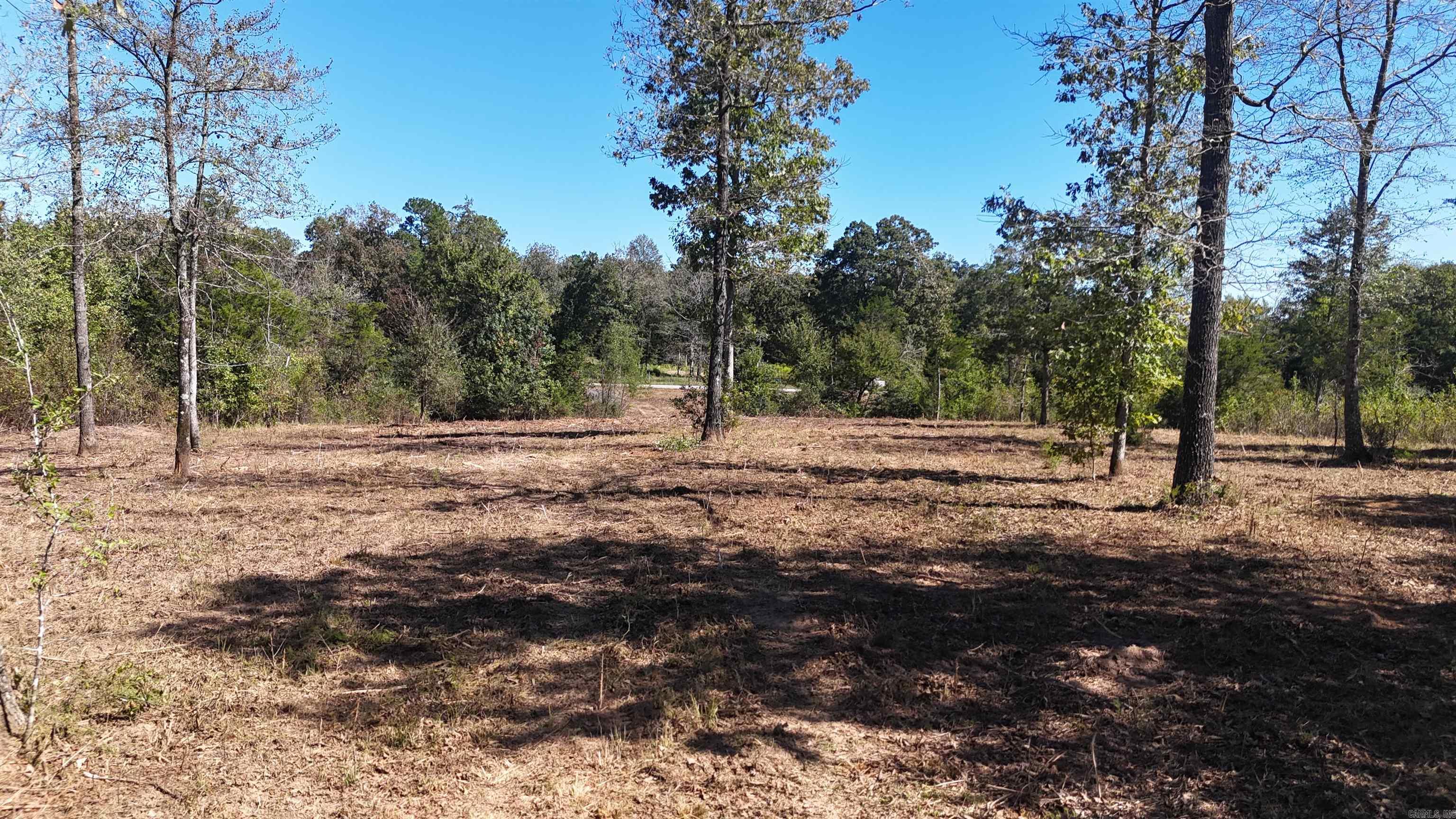 Tbd Polk Road 676 Property Photo 3