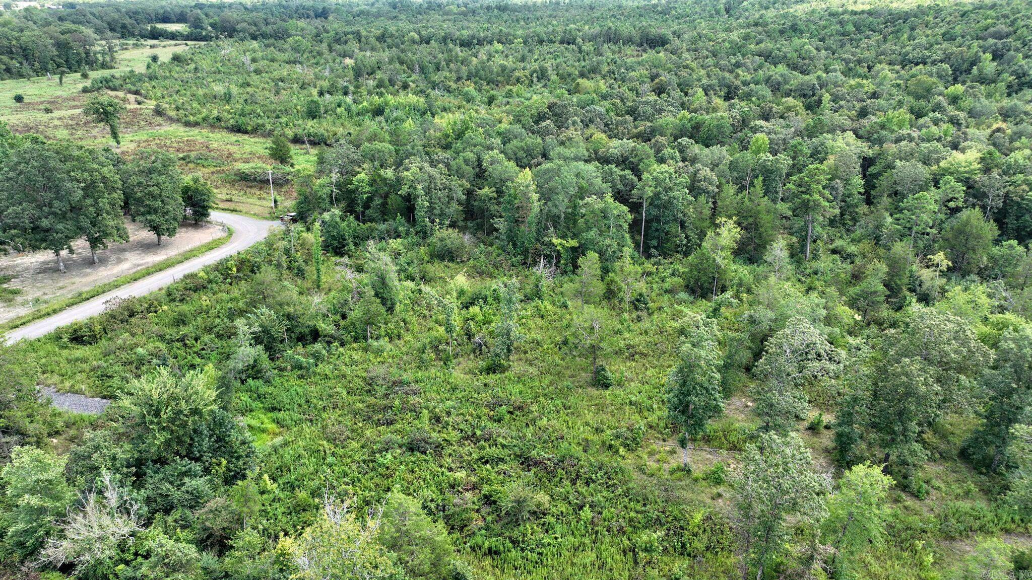Tbd Polk Road 676 Property Photo 4