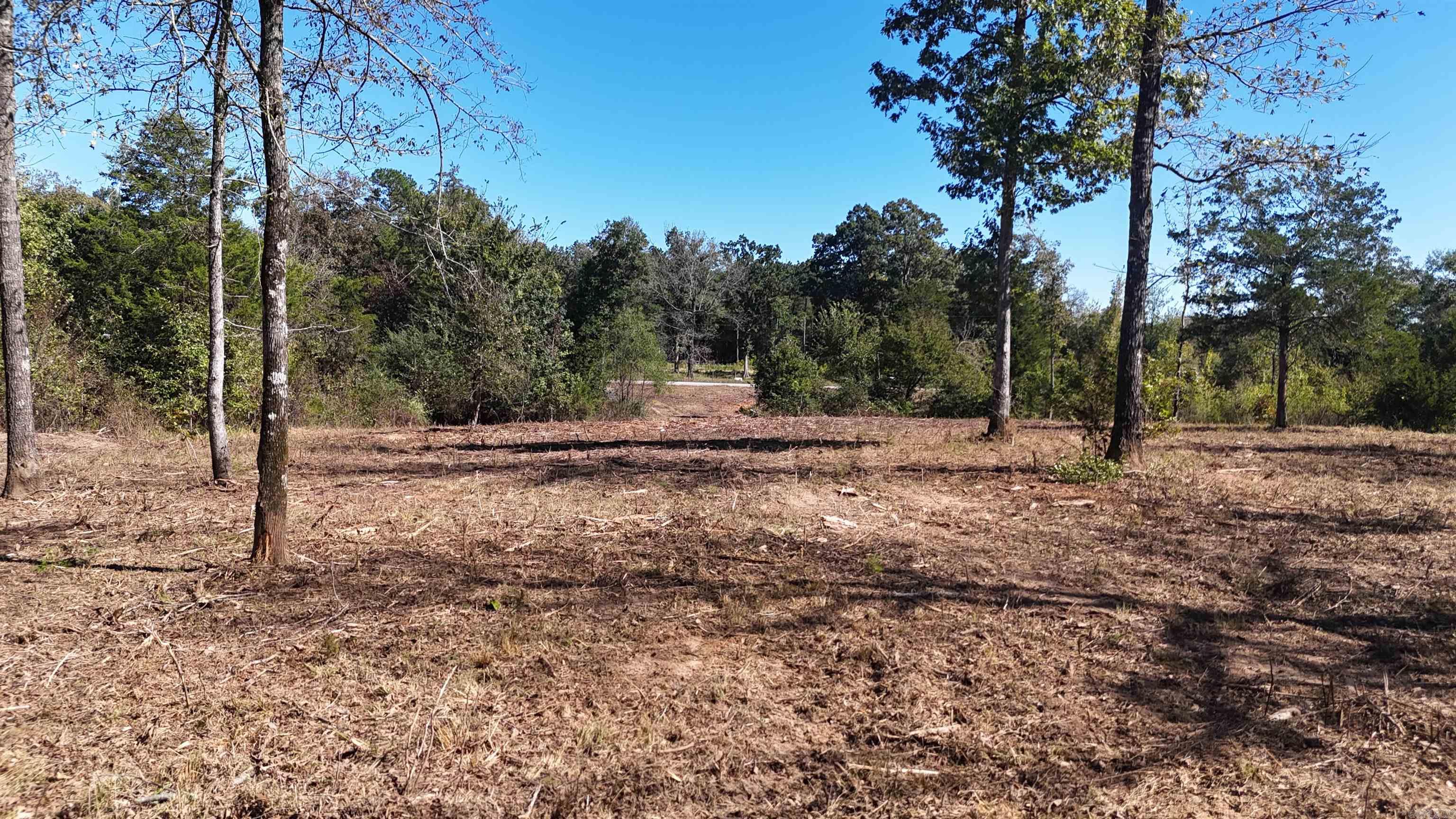 Tbd Polk Road 676 Property Photo 4